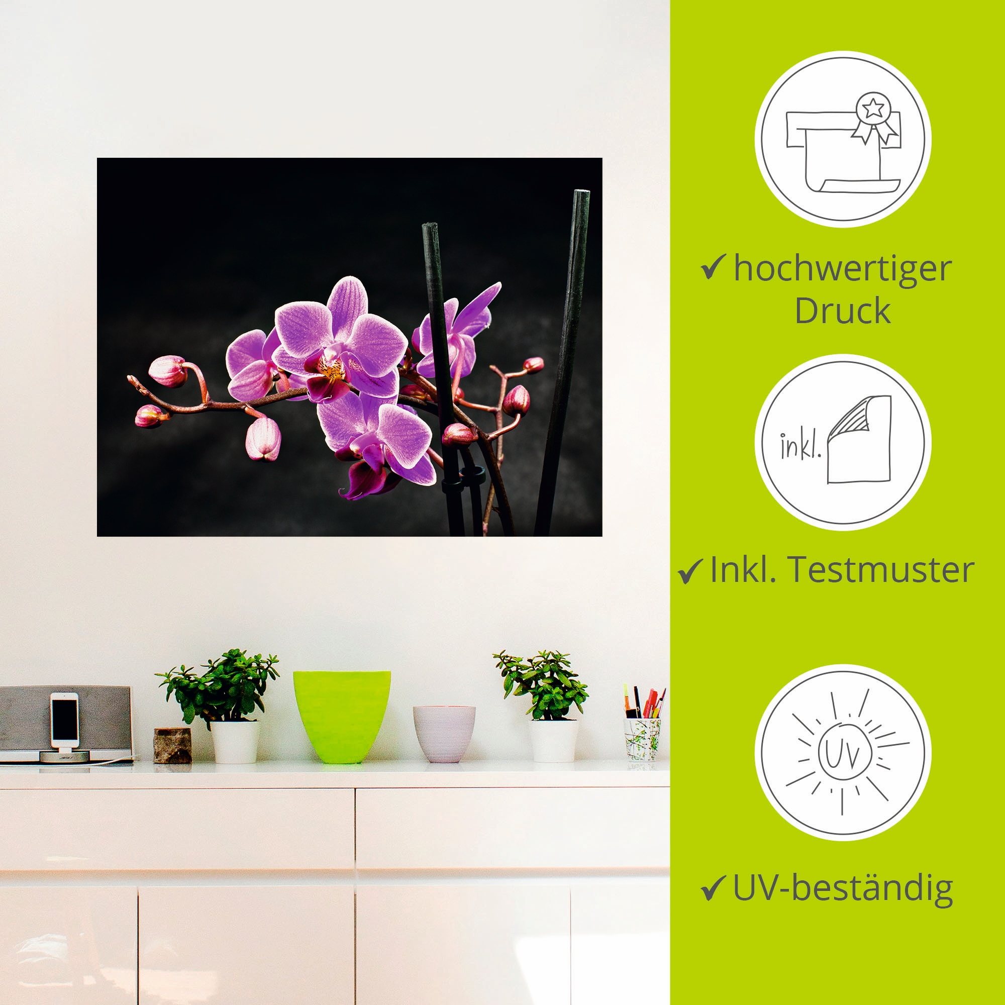Artland Wandbild »Eine Orchidee vor schwarzem Hintergrund«, Blumen, (1 St.), als Leinwandbild, Poster, Wandaufkleber in verschied. Größen