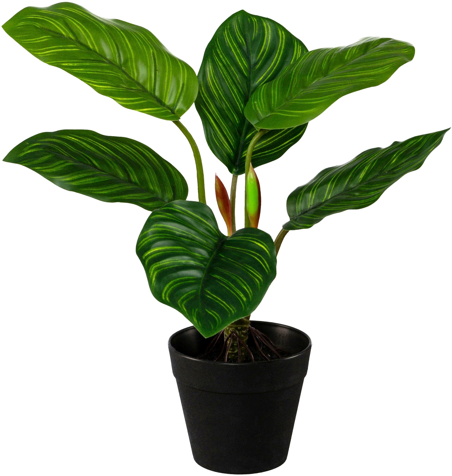 aus auf kaufen Zimmerpflanze Set green Künstliche Creativ »Set Grünpflanzen«, Rechnung 3er