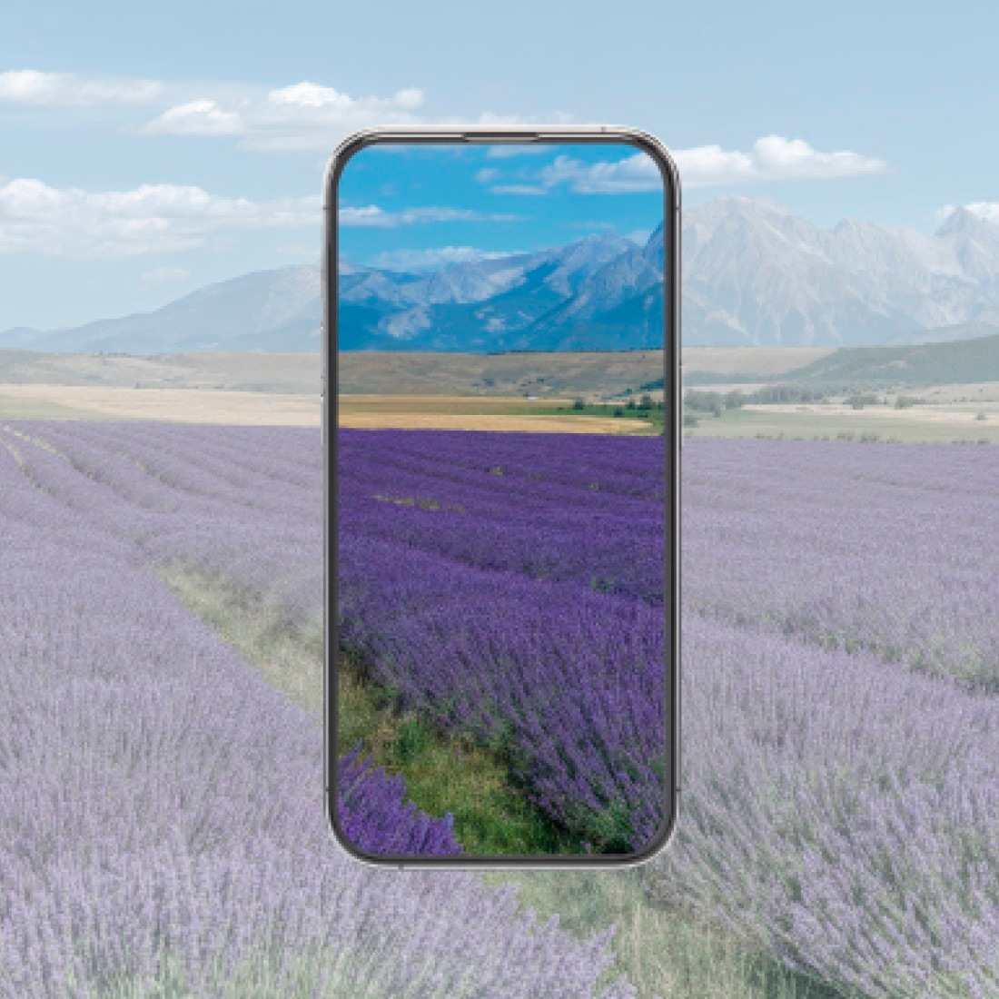 Hama Displayschutzglas »Displayschutzglas für Apple iPhone Duo (Panzerglas, D3O)« stoßfest, kratzfest, ultraklar, Anti-Fungerprint, Fullscreen-Abdeckung