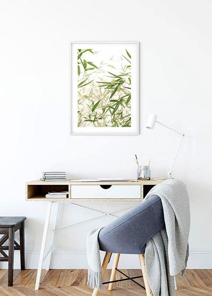 Komar Bild »Bamboo Leaves«, Pflanzen-Blätter, (1 St.), Wandbild zur Dekoration - ohne Rahmen