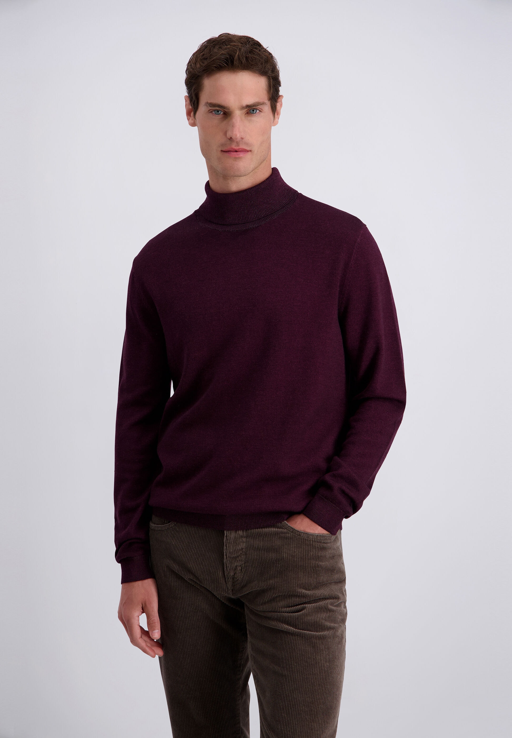 Pierre Cardin Strickpullover »Pierre Cardin Pullover« im unifarbenen Stil