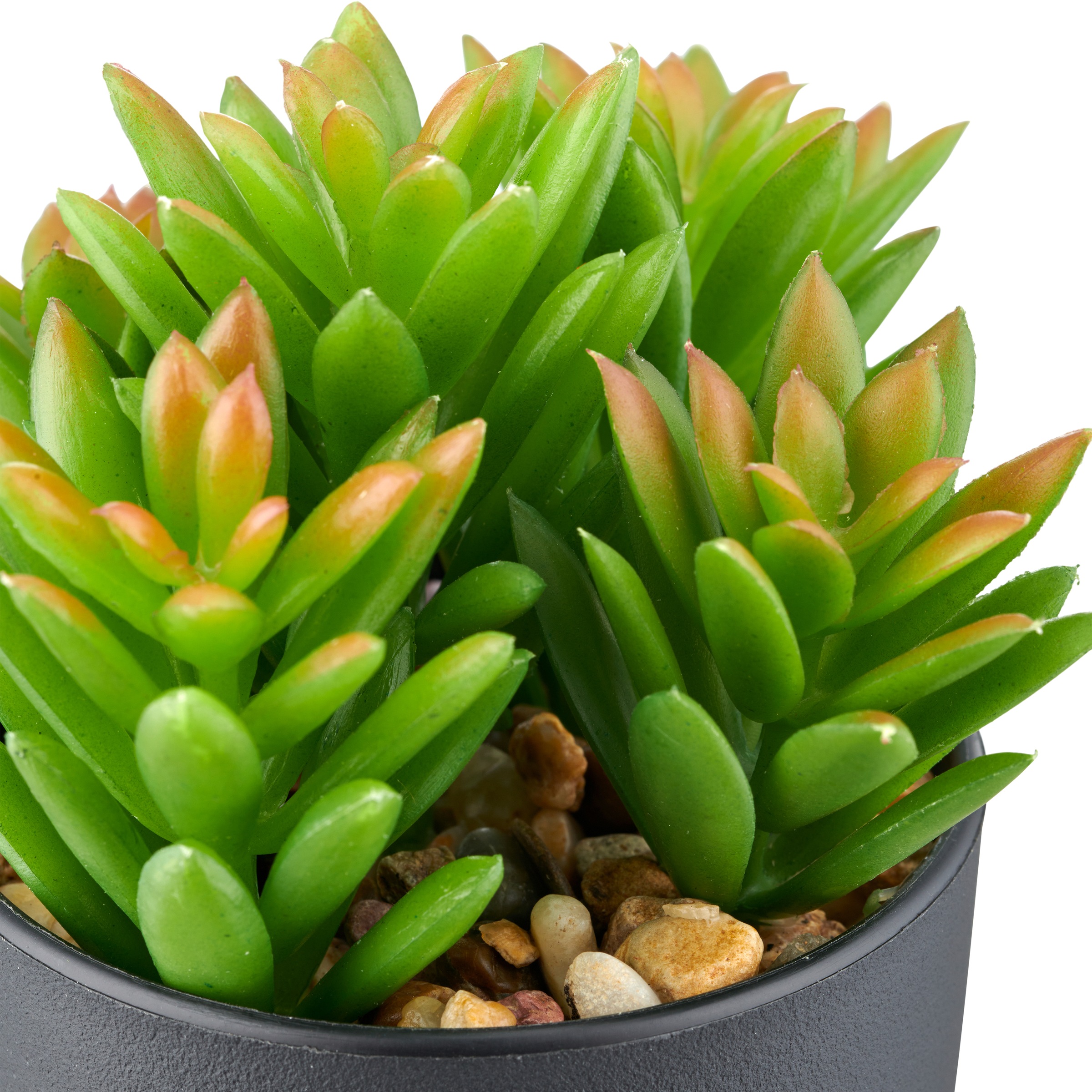 Creativ green Kunstpflanze »Sukkulenten« mit dekorativem Kies