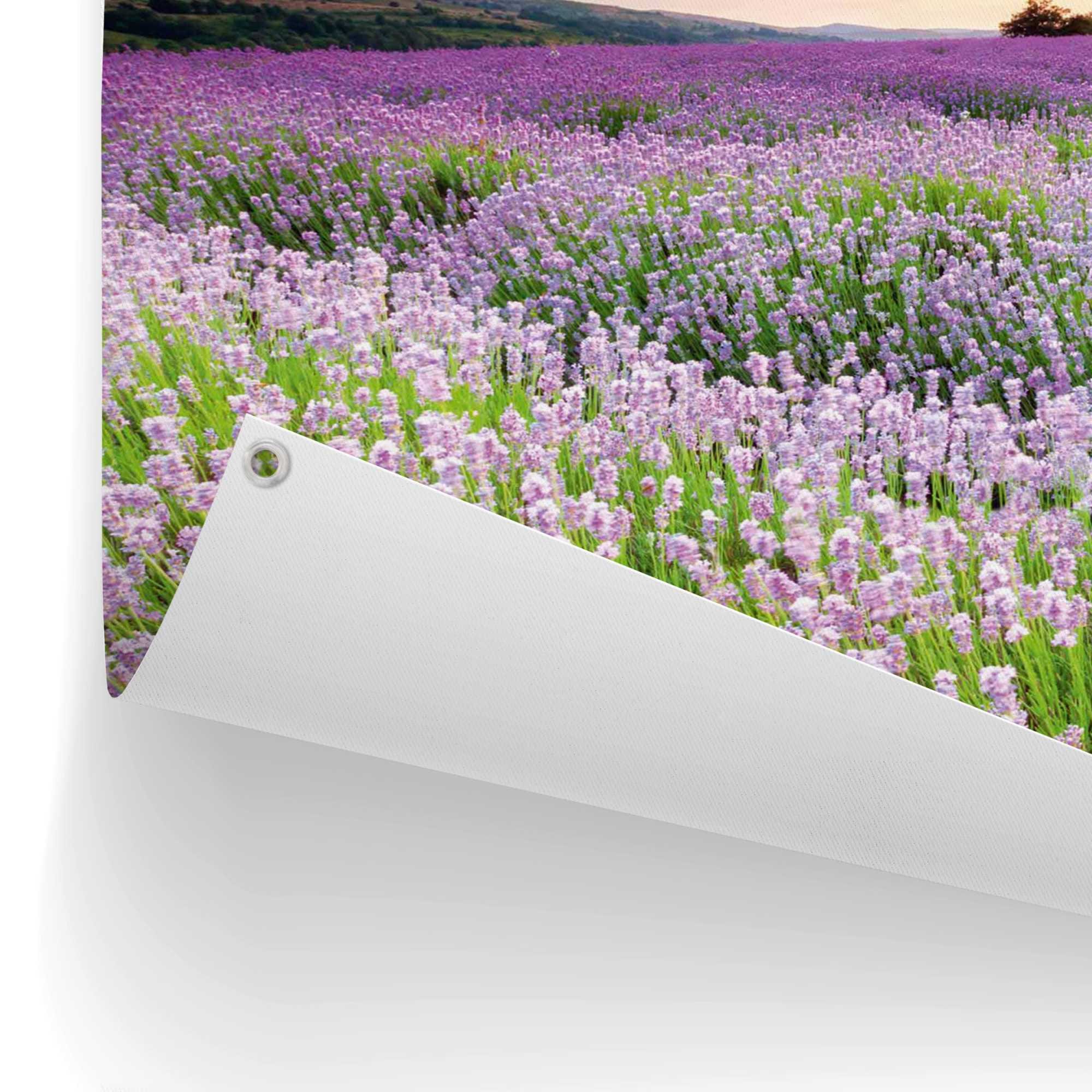 Reinders! Poster »Lavender Field«