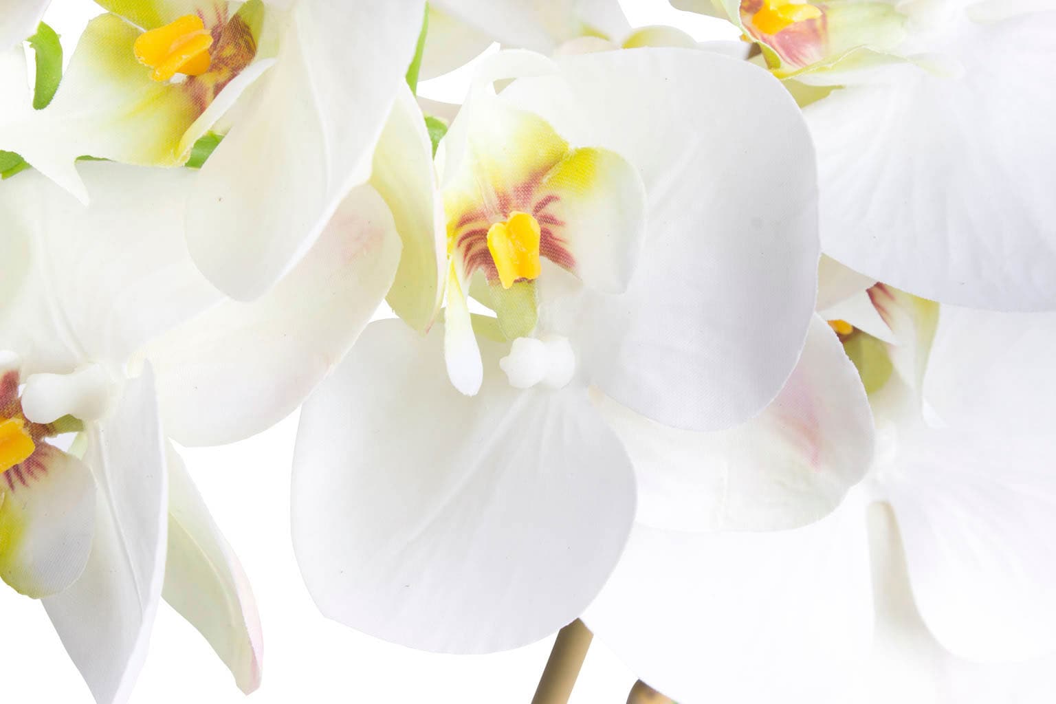 Botanic-Haus Kunstorchidee »Orchidee Bora« auf Rechnung bestellen