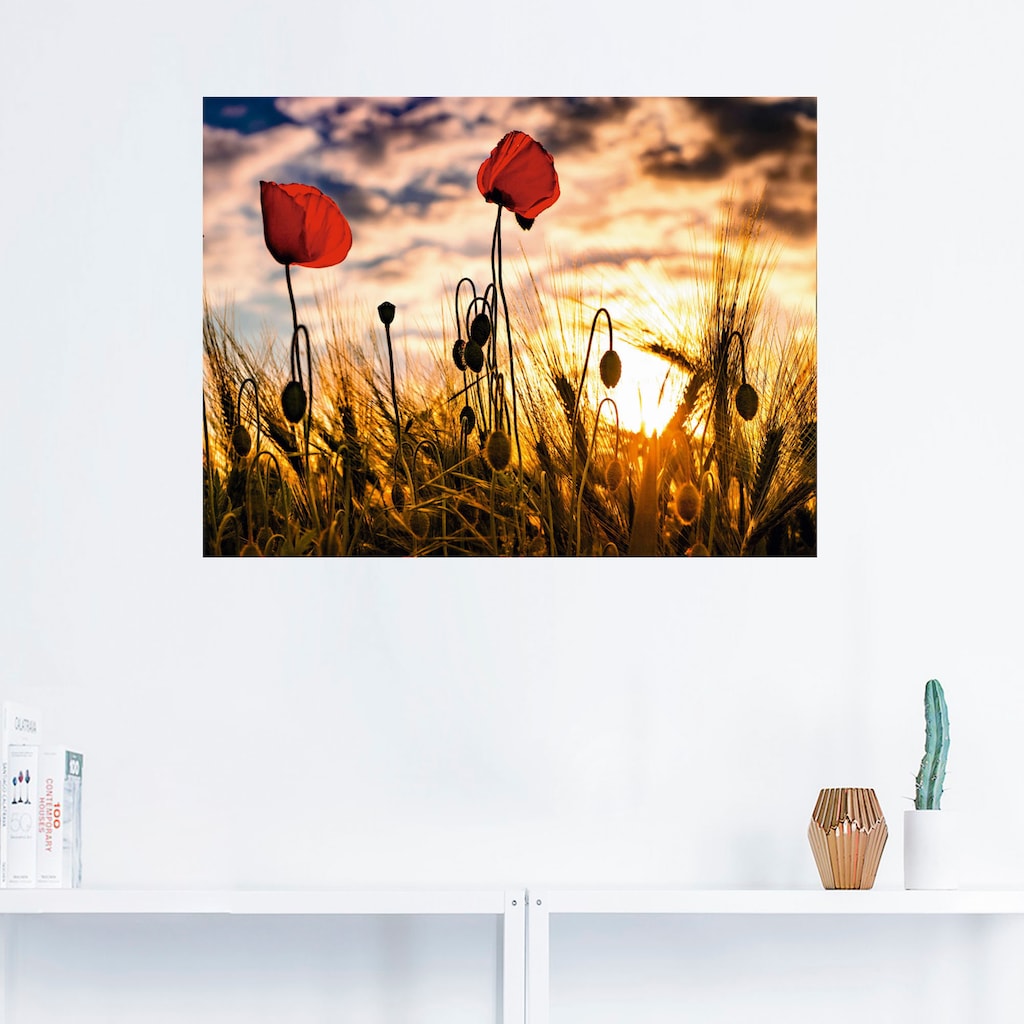 Artland Wandbild »Mohnblumen im Sonnenuntergang«, Blumen, (1 St.)