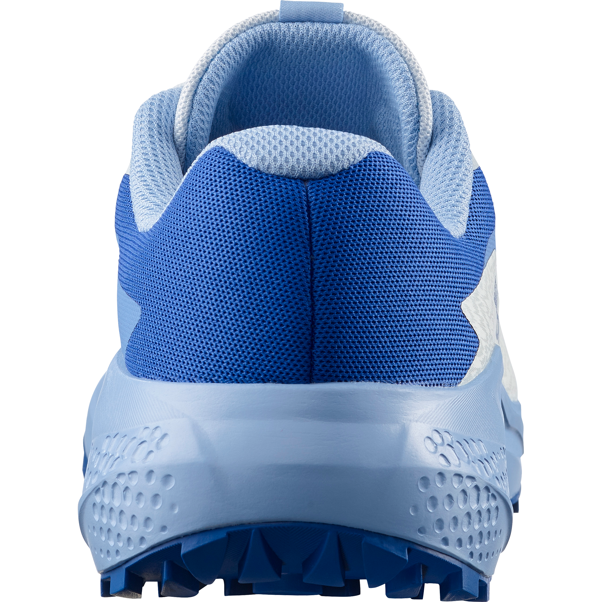 Salomon Trailrunningschuh »ALPHAGLIDE«