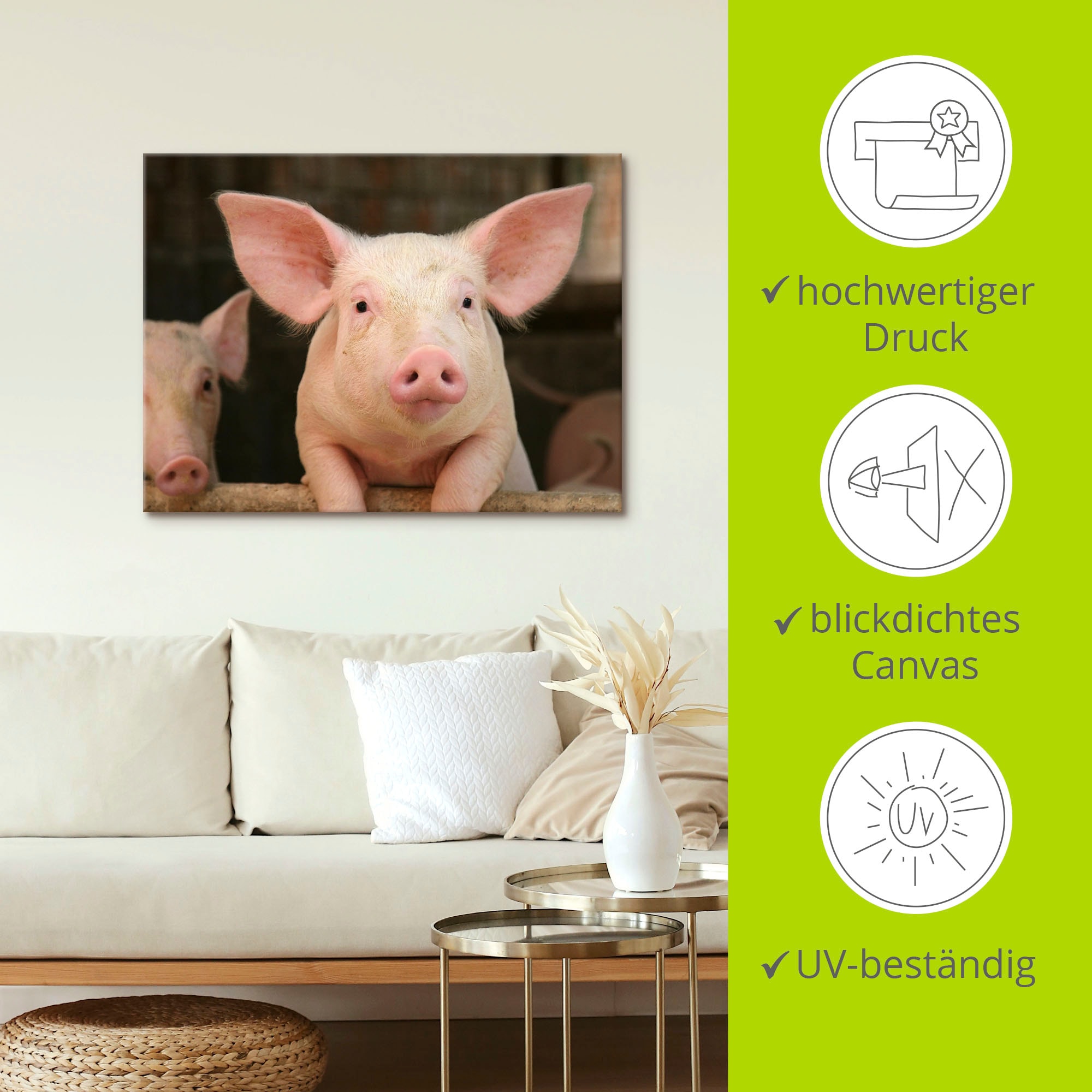 Artland Wandbild »Vorwitziges Schwein«, Haustiere, (1 St.), als Leinwandbild, Wandaufkleber in verschied. Größen