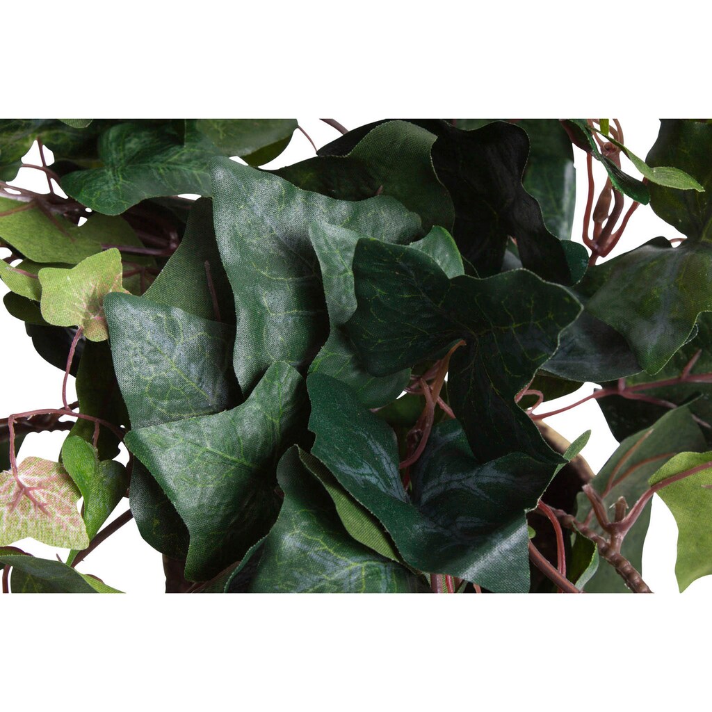 Botanic-Haus Künstliche Zimmerpflanze »Efeuhängebusch«