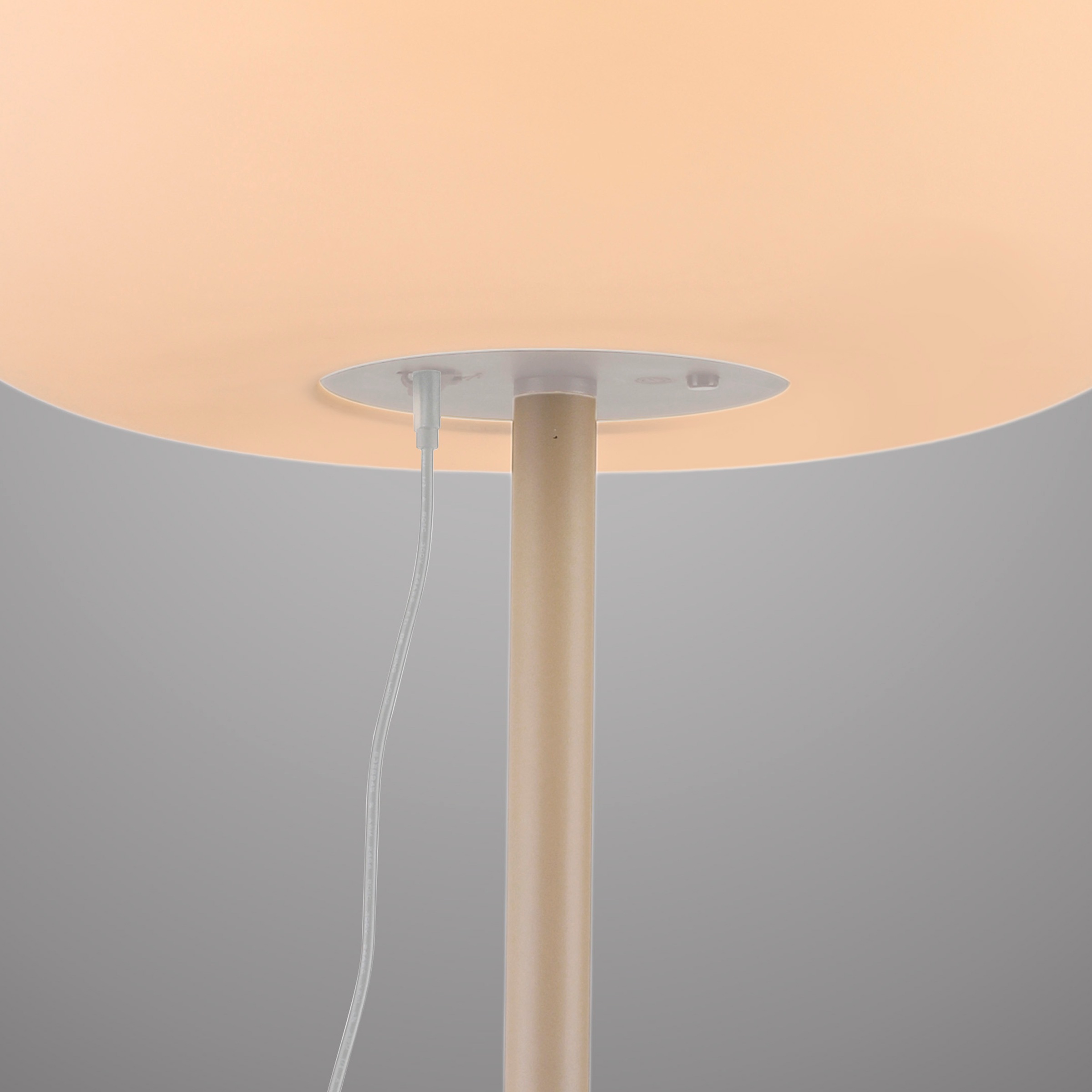 SCHÖNER WOHNEN-Kollektion LED Außen-Tischleuchte »LUMARA« LED-Board 1 Stk. Warmweiß Kabellose Akku-Lampe, dimmbar, IP54, Macchiato – für innen & außen