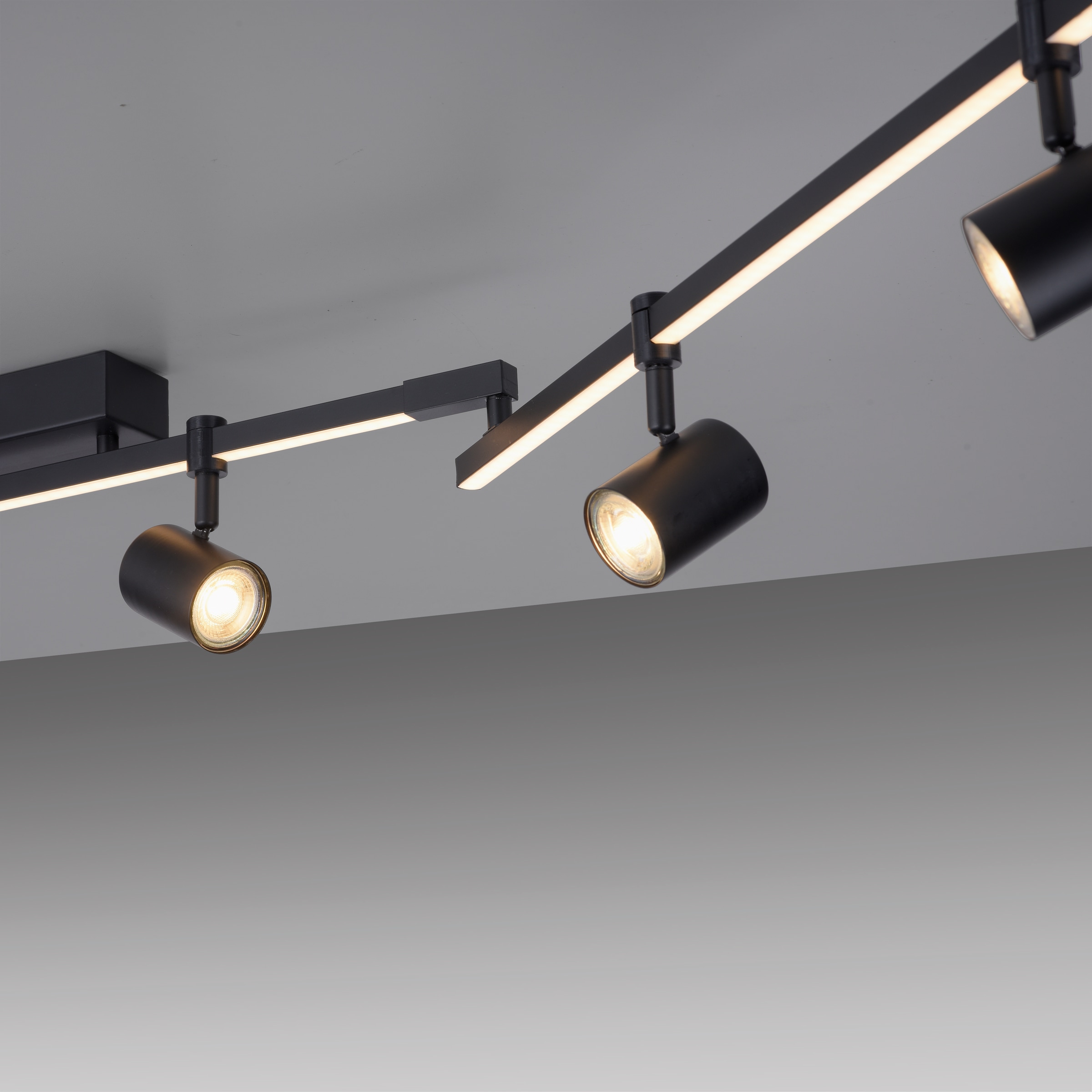 Paul Neuhaus Deckenleuchte »BARIK«, kaufen Garantie 3 Jahren separat steuerbar XXL LED, mit separat flammig-flammig, online (Schalter), steuerbar (Schalter) | 7