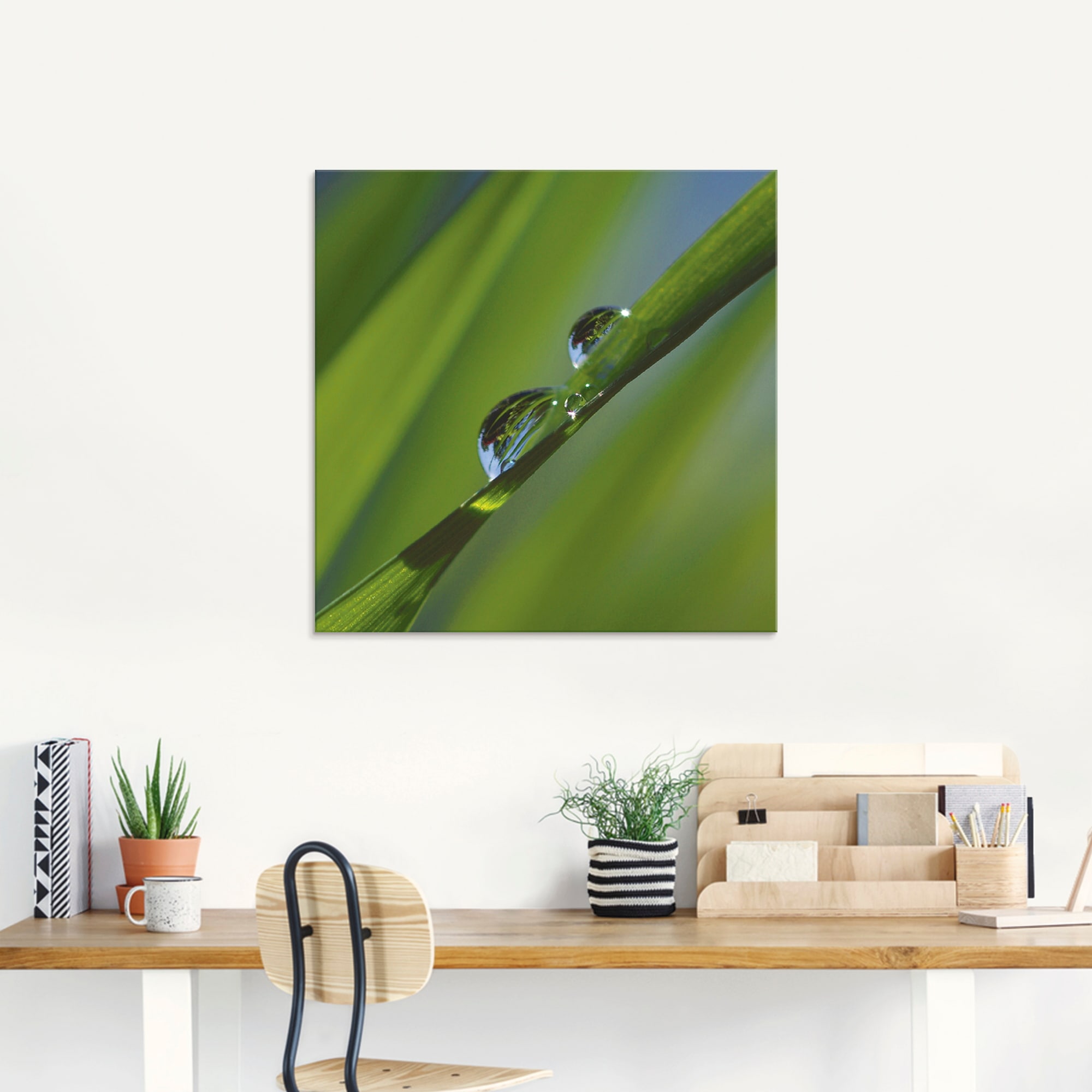 Artland Glasbild »Wassertropfen auf Grashalm« Gräser 1 Stk. tlg. in verschiedenen Größen