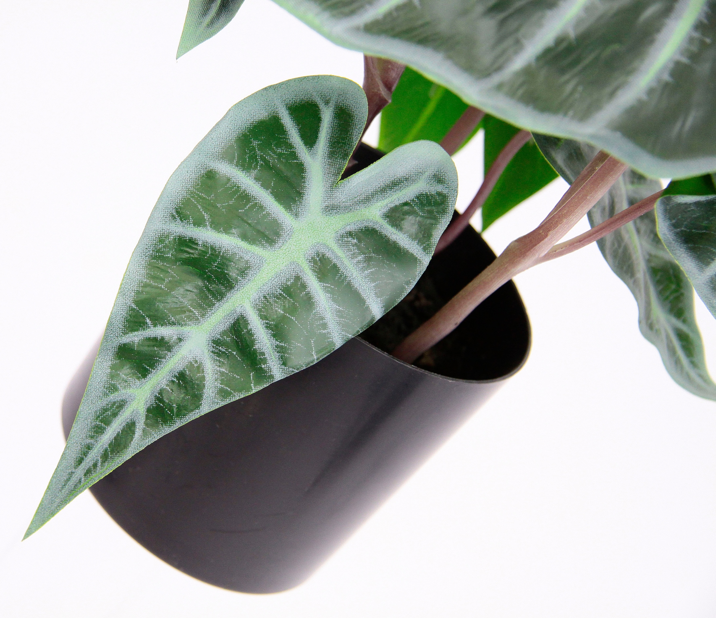 I.GE.A. Kunstpflanze »Calathea«, Kunst-Pflanze Seidenblumen ZimmerpflanzeZebrina Alocasia Sanderiana