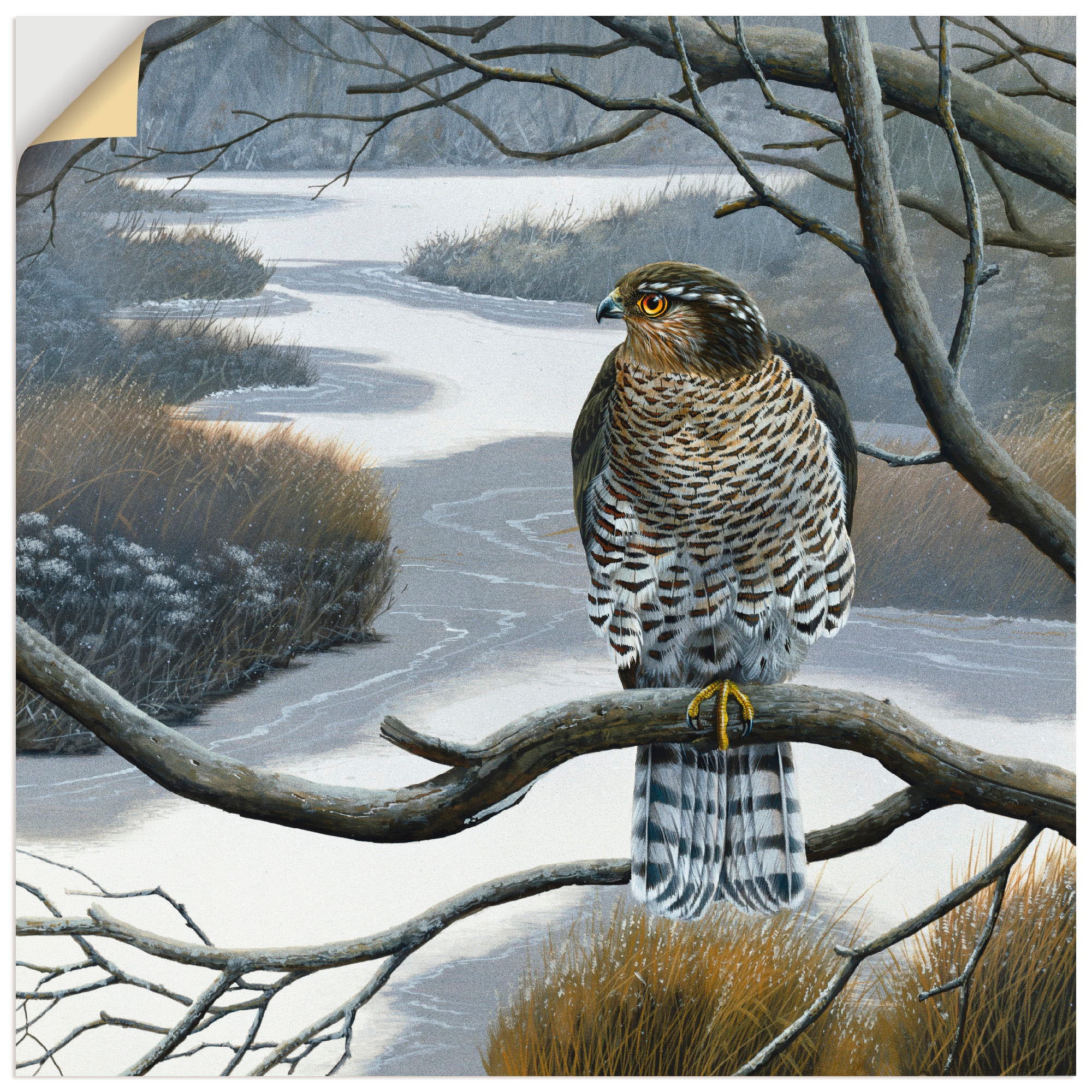 Artland Wandbild »Falke im Baum«, Vögel, (1 St.), als Leinwandbild, Wandaufkleber in verschied. Größen