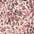 creme-mauve bedruckt