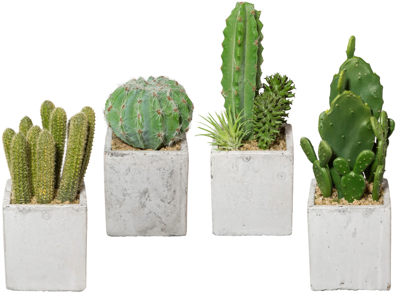 Creativ green Kunstkaktus Rechnung Set, im »Kaktus«, kaufen 4er auf Zementtopf