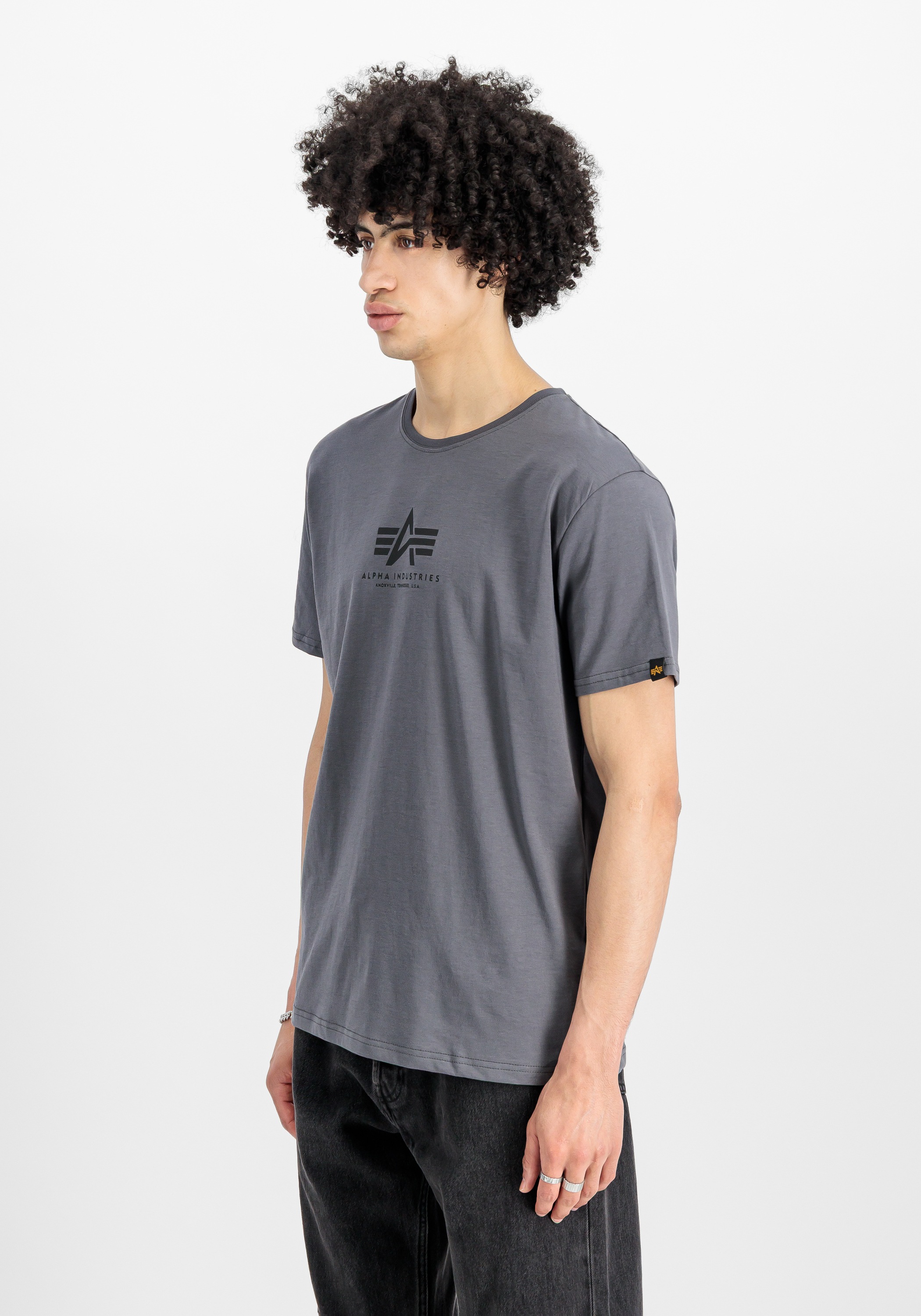 Alpha Industries T-Shirt »Basic T-Shirt ML«
