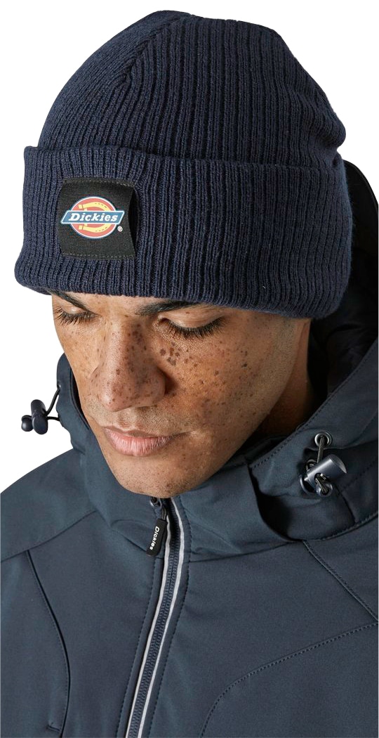 Dickies Beanie »Evadale«