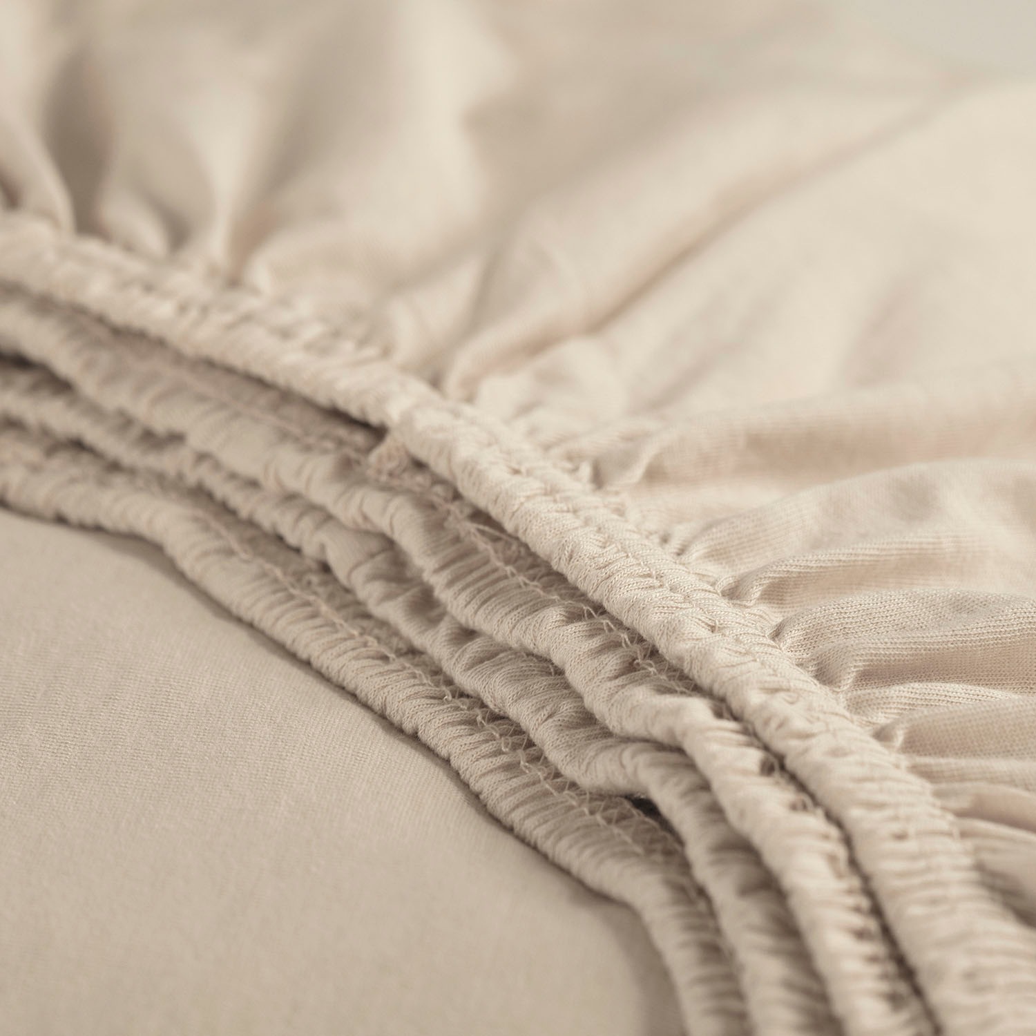 Cinderella Spannbettlaken »Jersey« bügel- und knötchenfrei, bis 25 cm Höhe