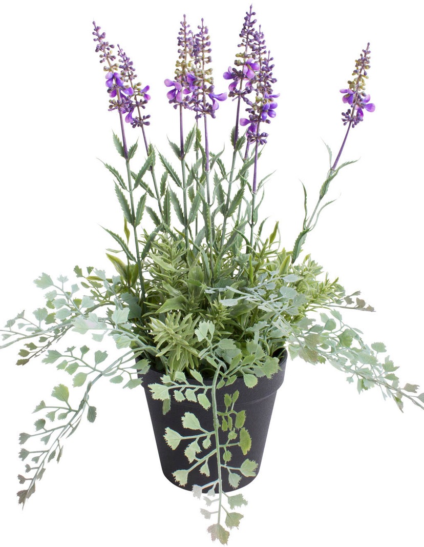 Botanic-Haus Künstliche Zimmerpflanze »Lavendel - Raten Erika bestellen auf Korb« Arrangement im