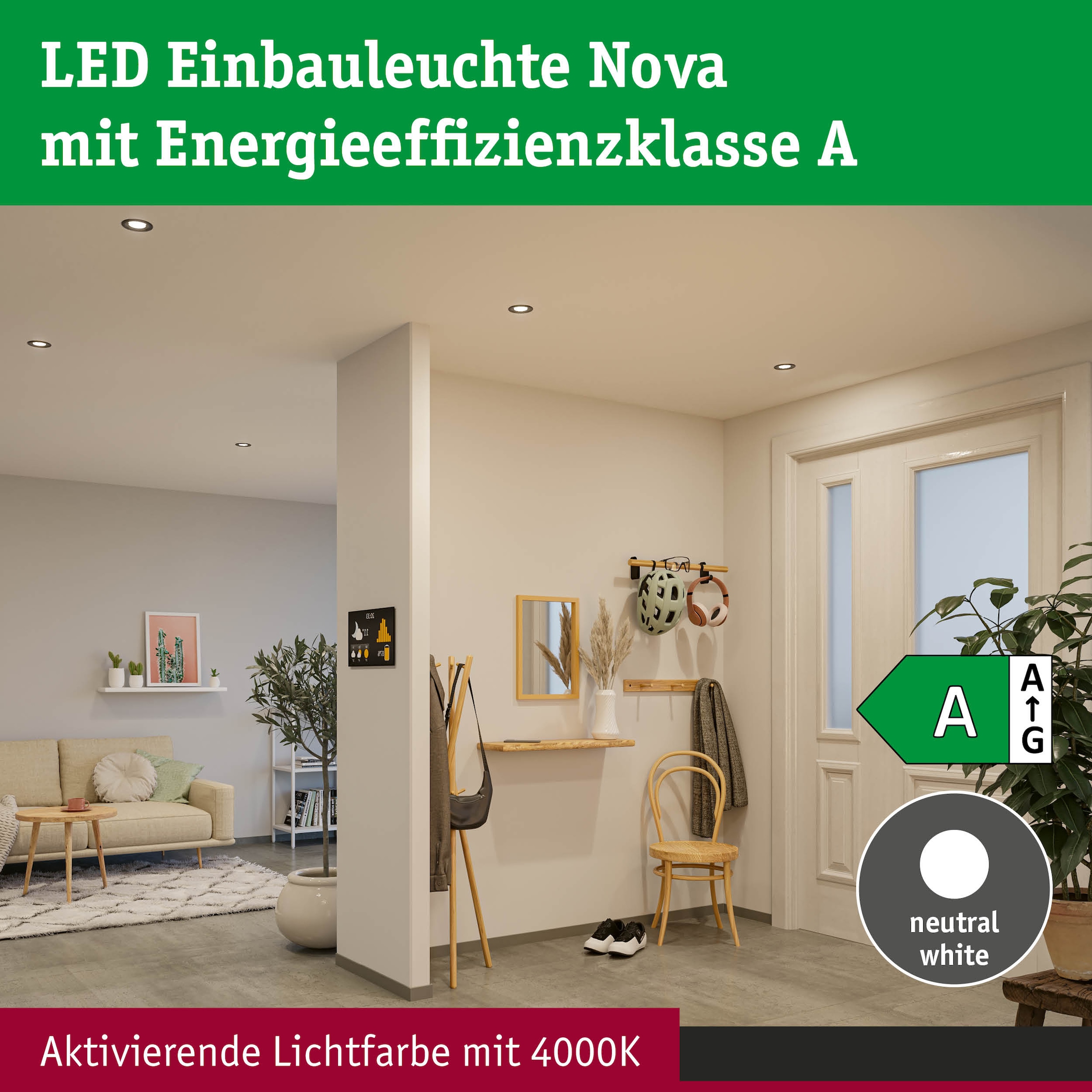 Paulmann LED Einbauleuchte »LED Einbauleuchte Nova Coin 50mm  2,8W 505lm 230V  4000K Klar« LED-Modul 1 Stk. Neutralweiß