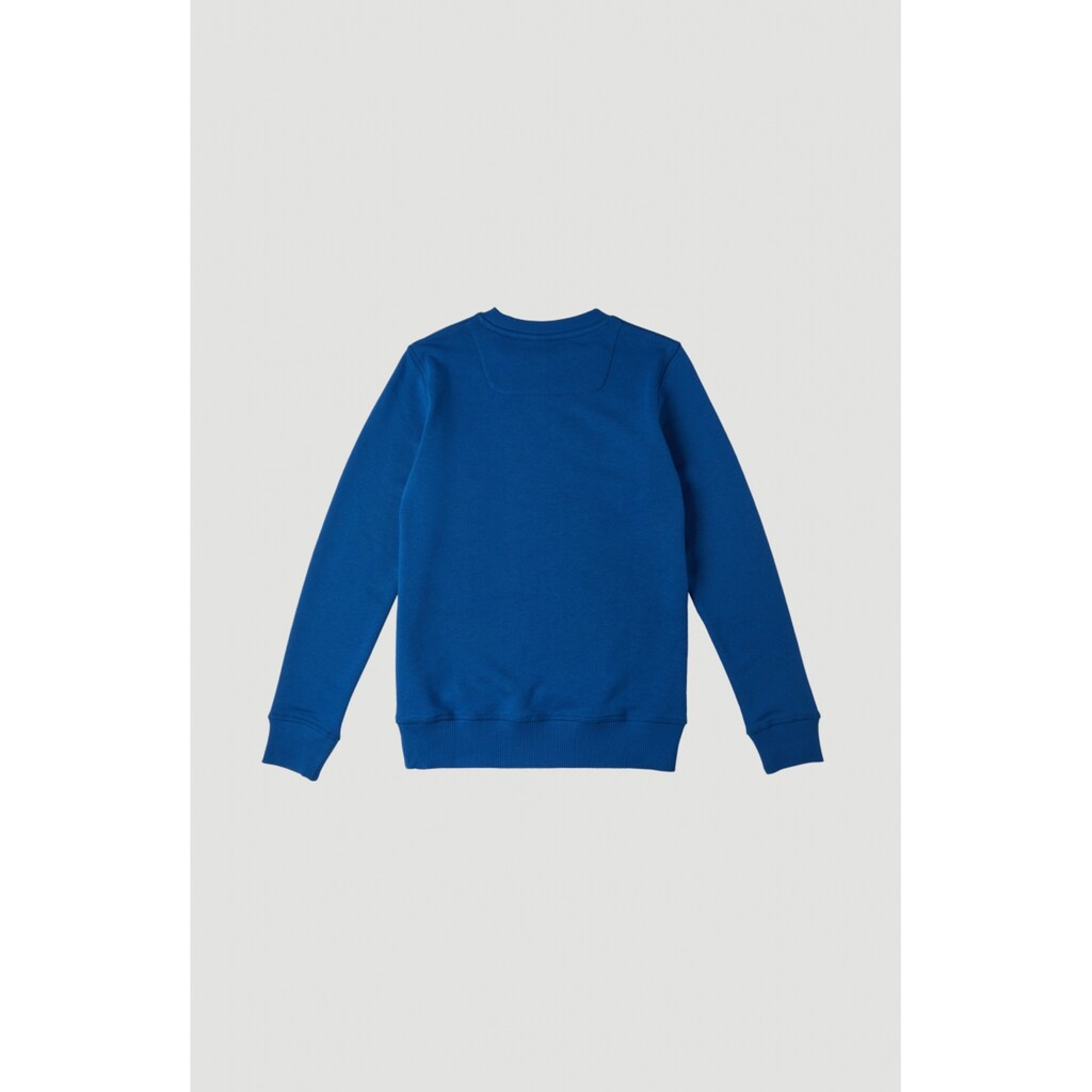 O'Neill Sweatshirt »All Year Crew Sweatshirt«