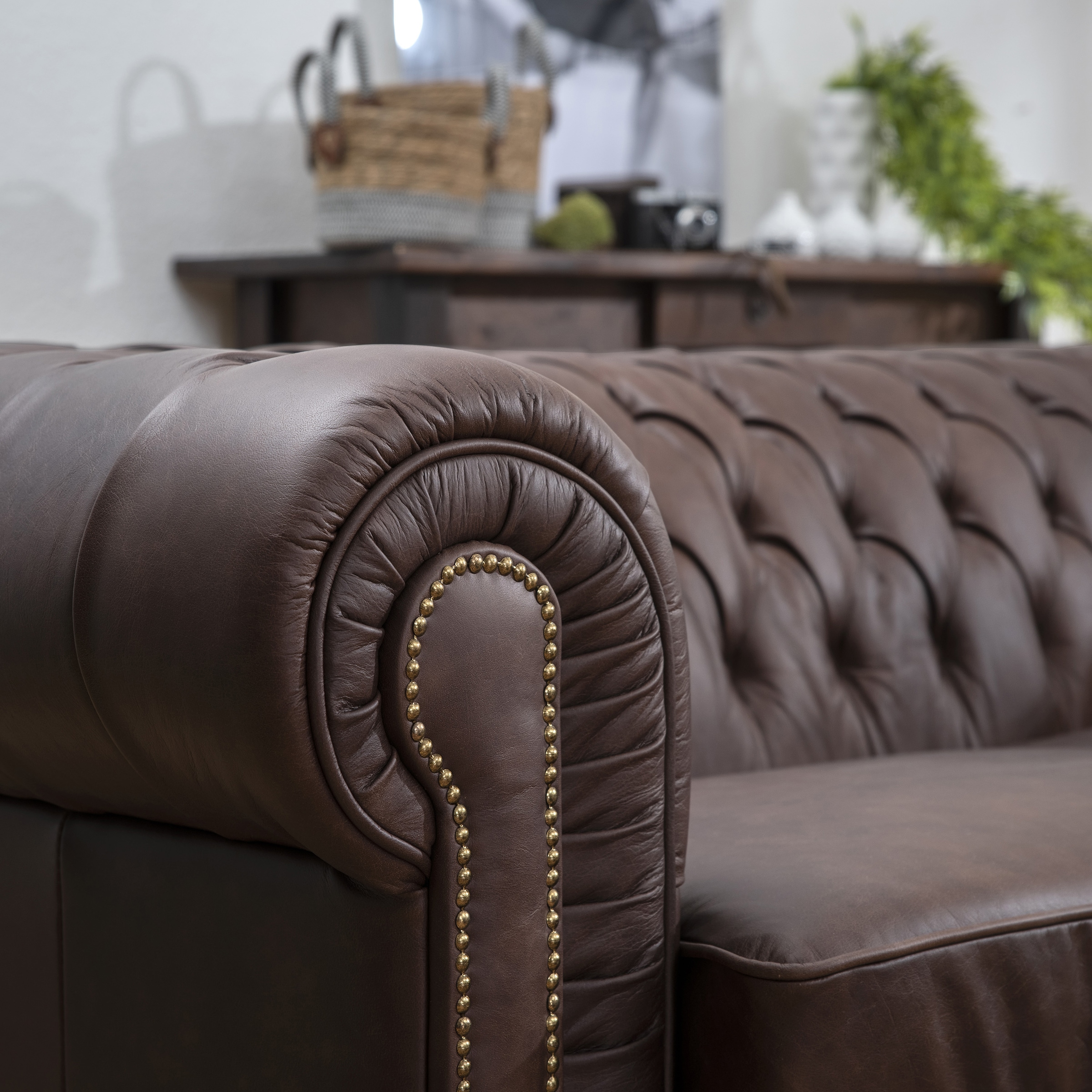 Max Winzer® Sessel »Norwin, Loungesessel, Chesterfield mit Ziernägeln in der Chatose,«, Clubsessel, klassisch, edel, modern und bequem