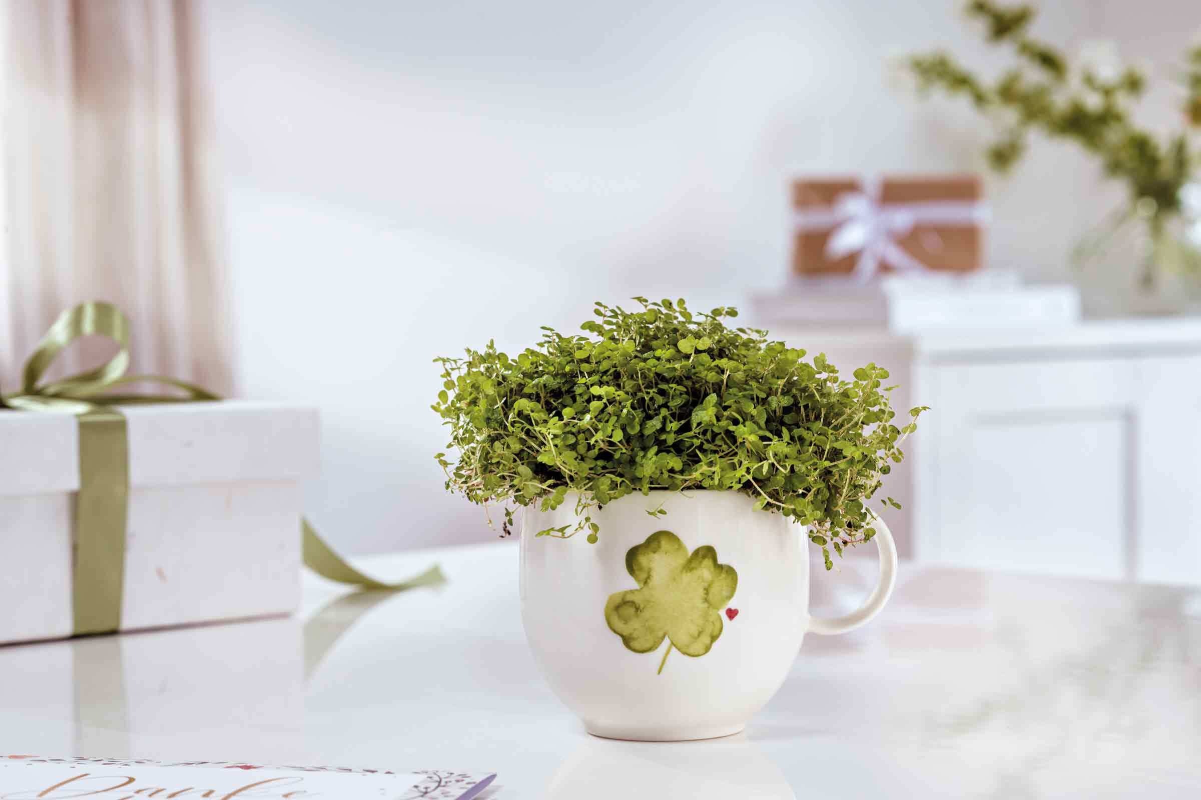 Villeroy & Boch Becher »Henkelbecher Good Luck With Love 290 ml 6er Set weiß-grün«