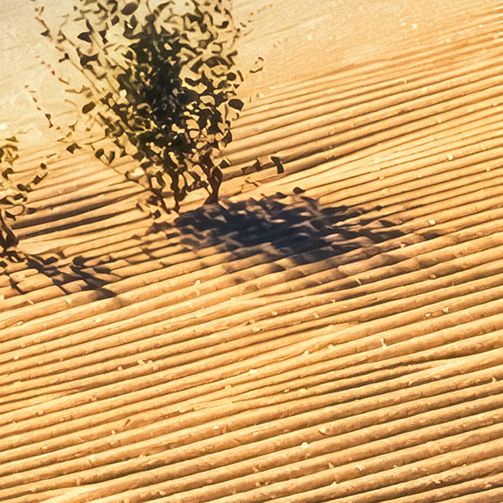 Komar Fototapete »Vlies Fototapete - Body Lines - Größe 500 x 250 cm« Motiv | bedruckt glatt