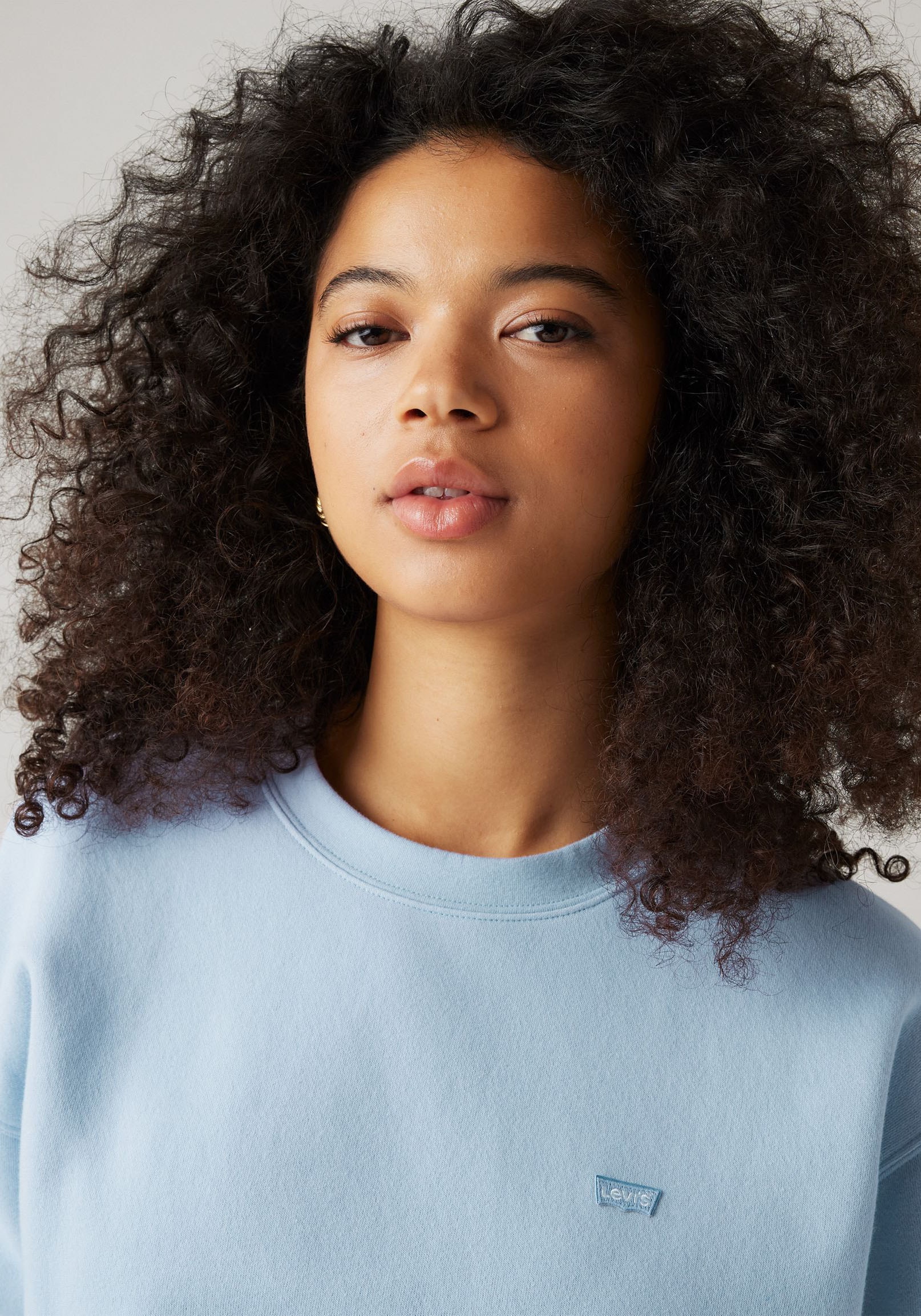 Levi's® Sweatshirt »EVERYDAY«, mit kleinem Logo auf der Brust