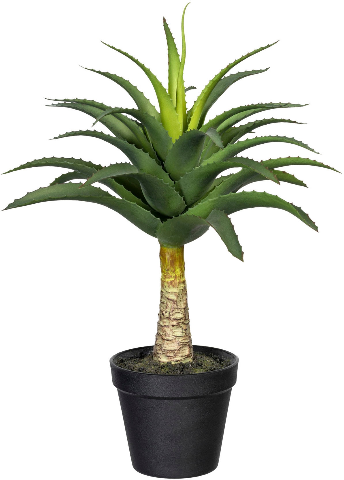 green »Aloe Zimmerpflanze Creativ bestellen mit auf Rechnung Künstliche Stamm«