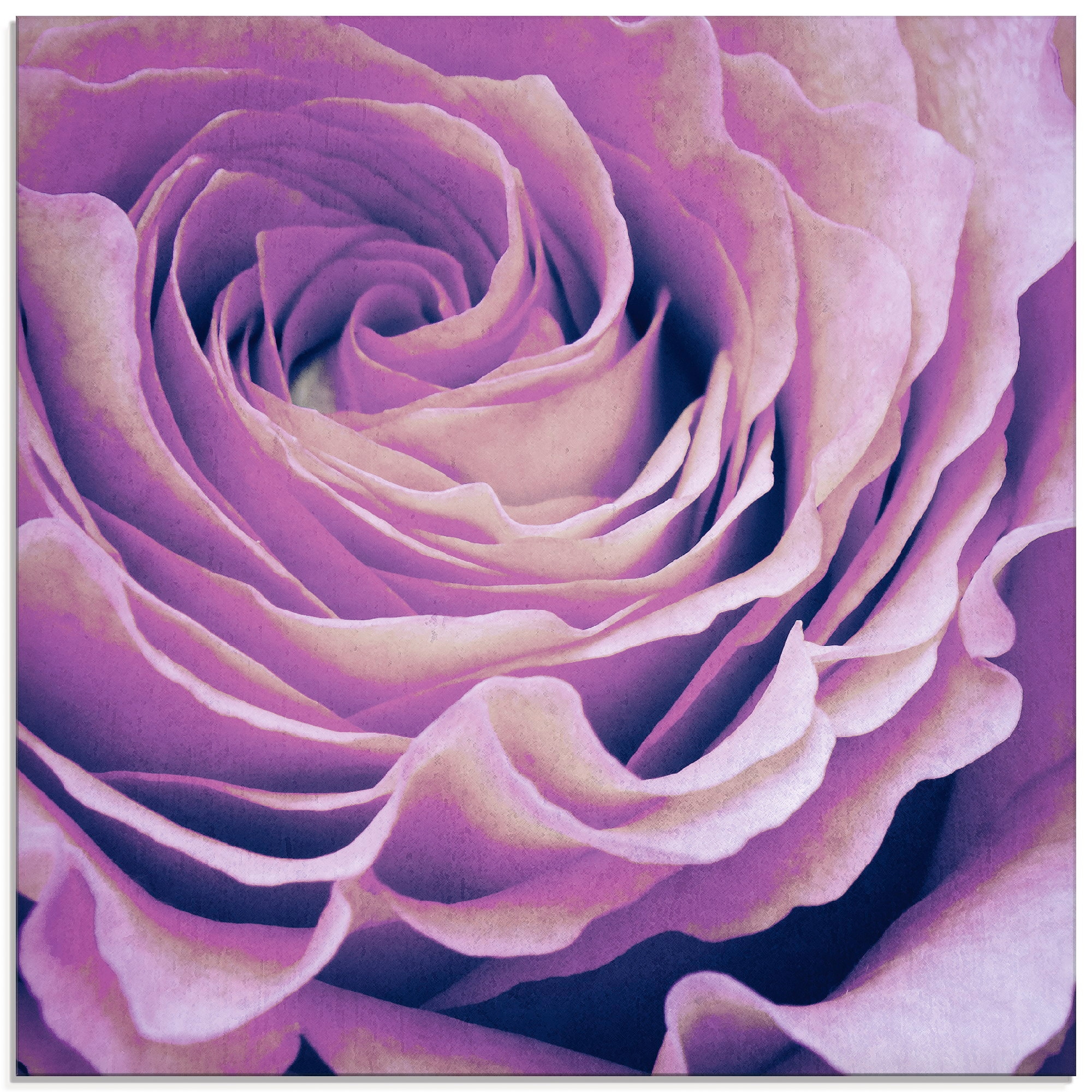 Artland Glasbild »Lila Rose«, Blumen, in bequem verschiedenen (1 bestellen St.), Größen