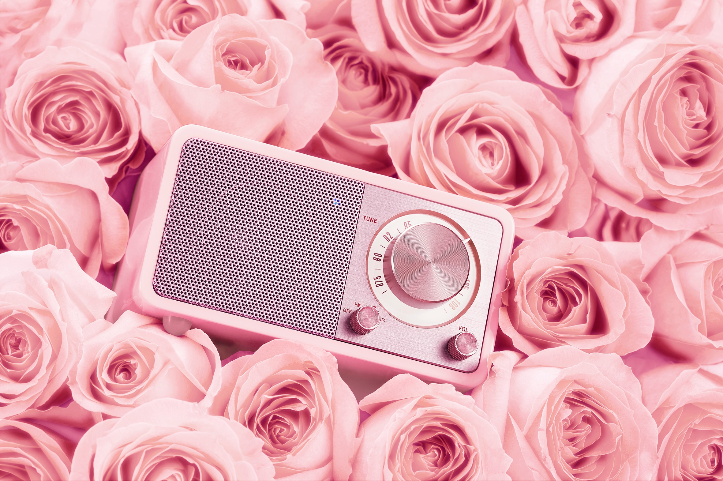 Sangean Radio »Genuine Mini WR-7«, (Bluetooth FM-Tuner)