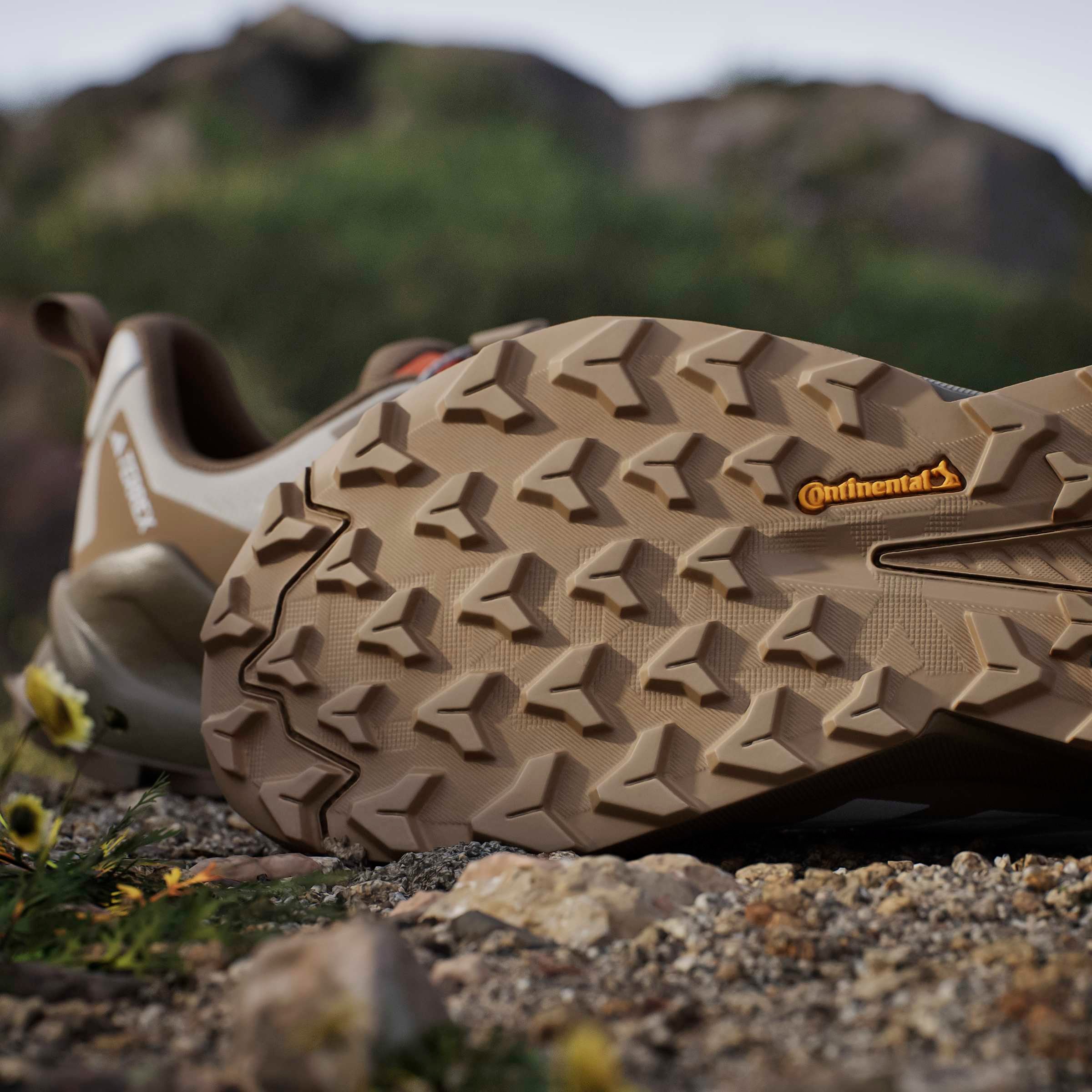 adidas TERREX Wanderschuh »TRAILMAKER 2 GORE-TEX SPEED LACE«