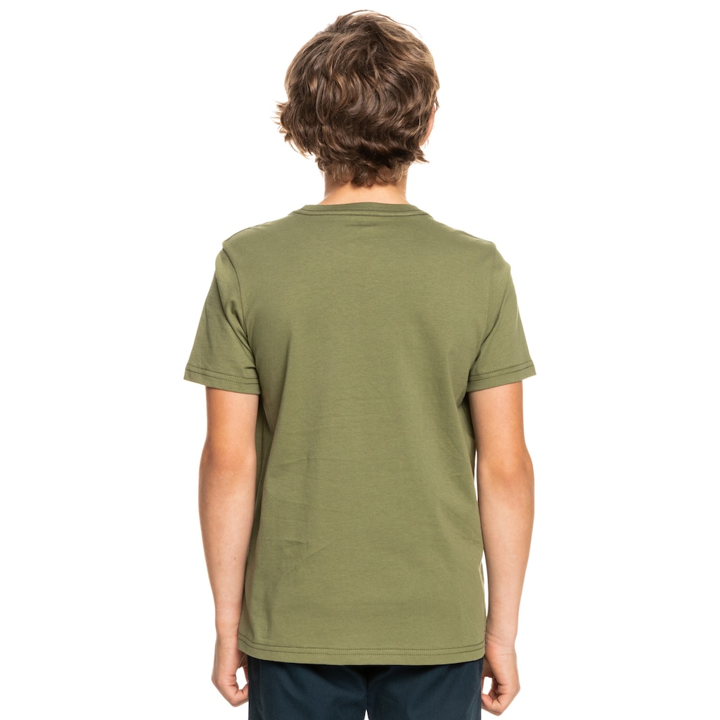 Quiksilver T-Shirt »Primary Colours«