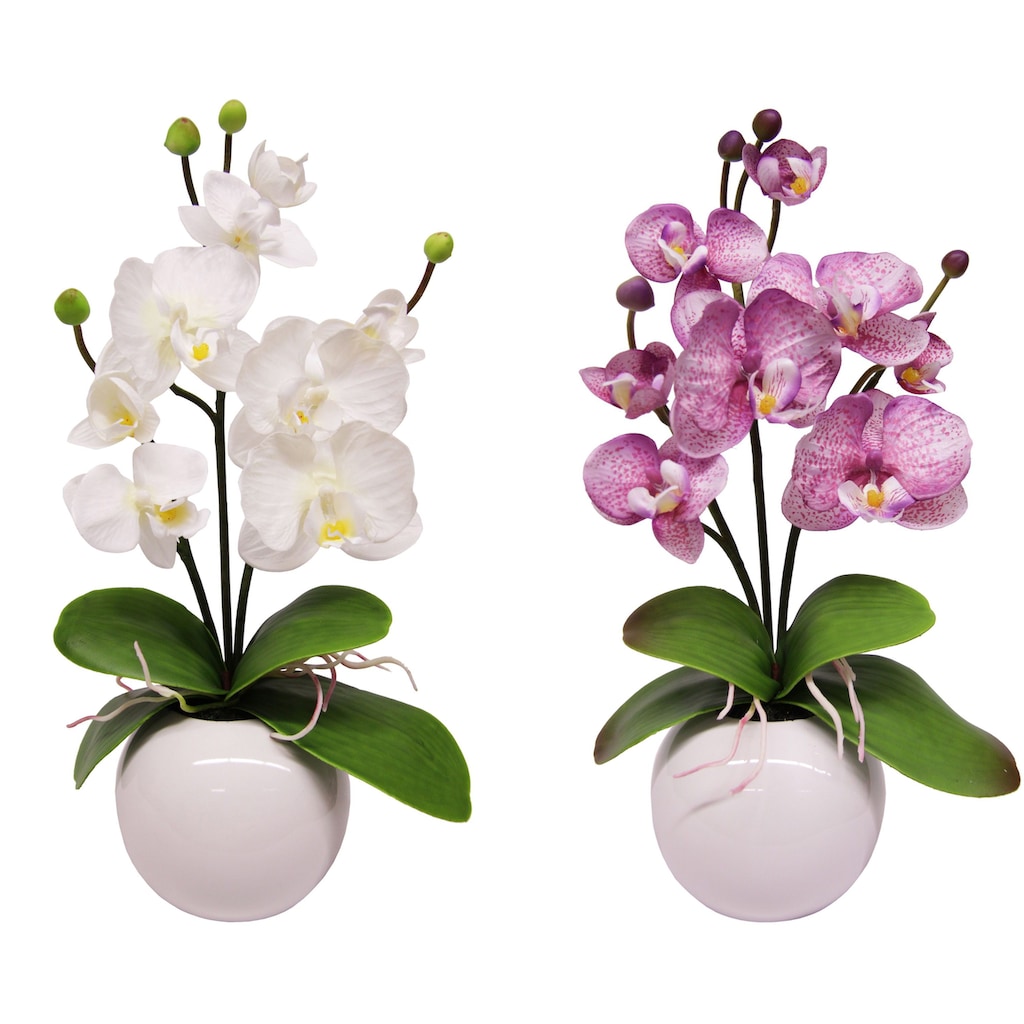 I.GE.A. Kunstpflanze »Orchidee«, (Set, 2 St.)