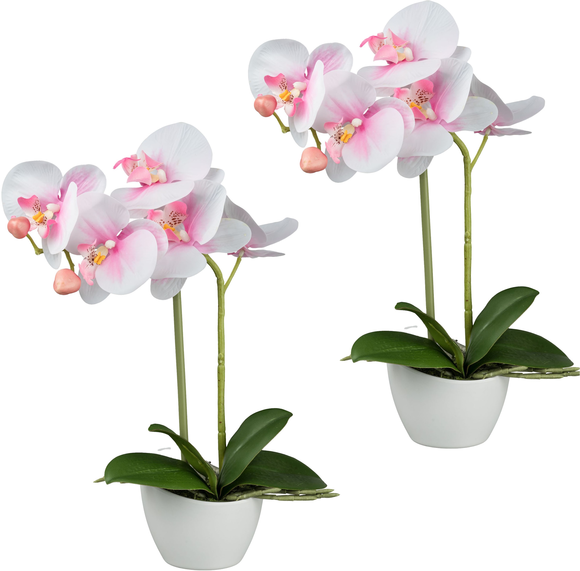 Kunstorchidee »Orchidee Phalaenopsis«, im weißen Design-Topf