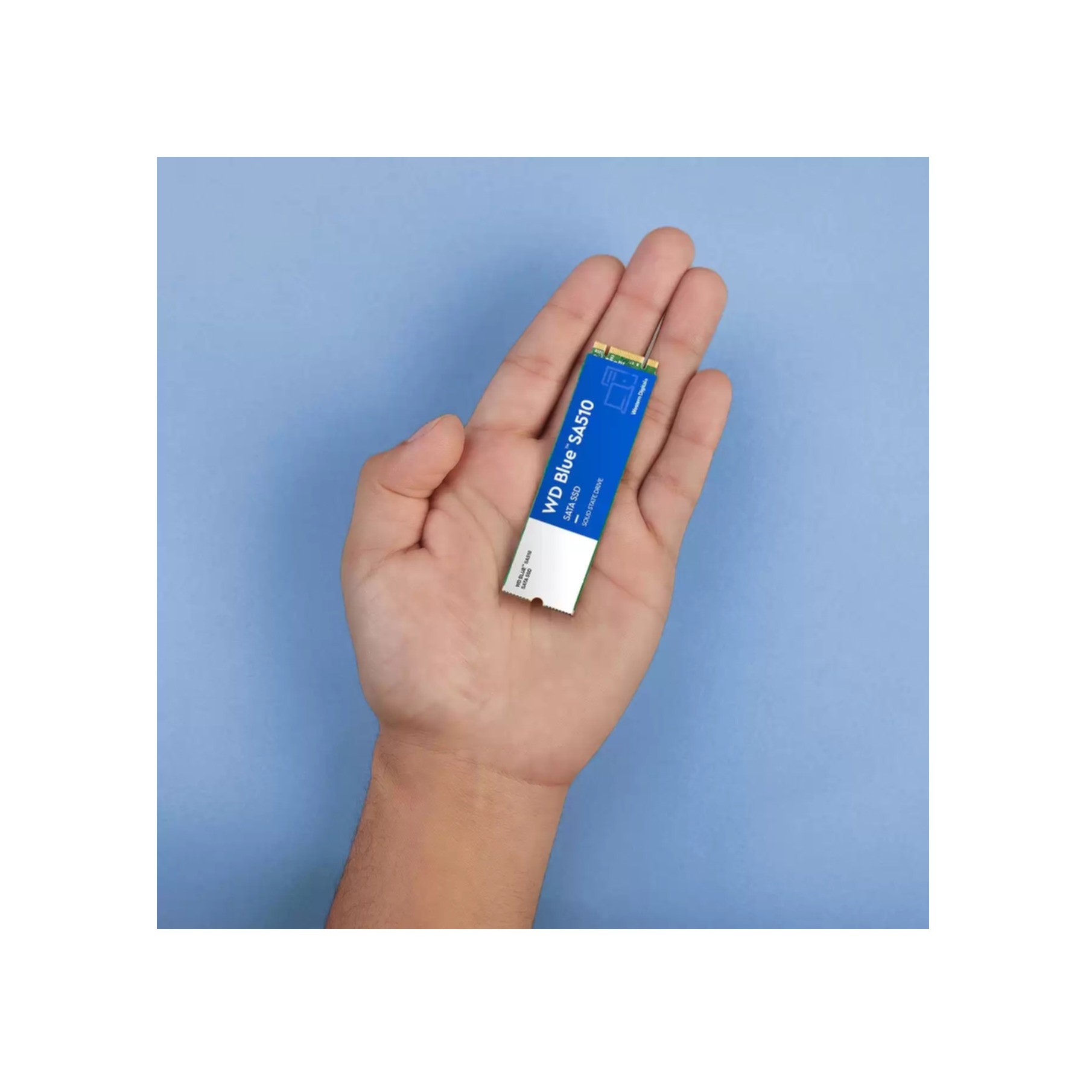 Western Digital interne SSD »Blue SA510 1 TB«, Anschluss SATA