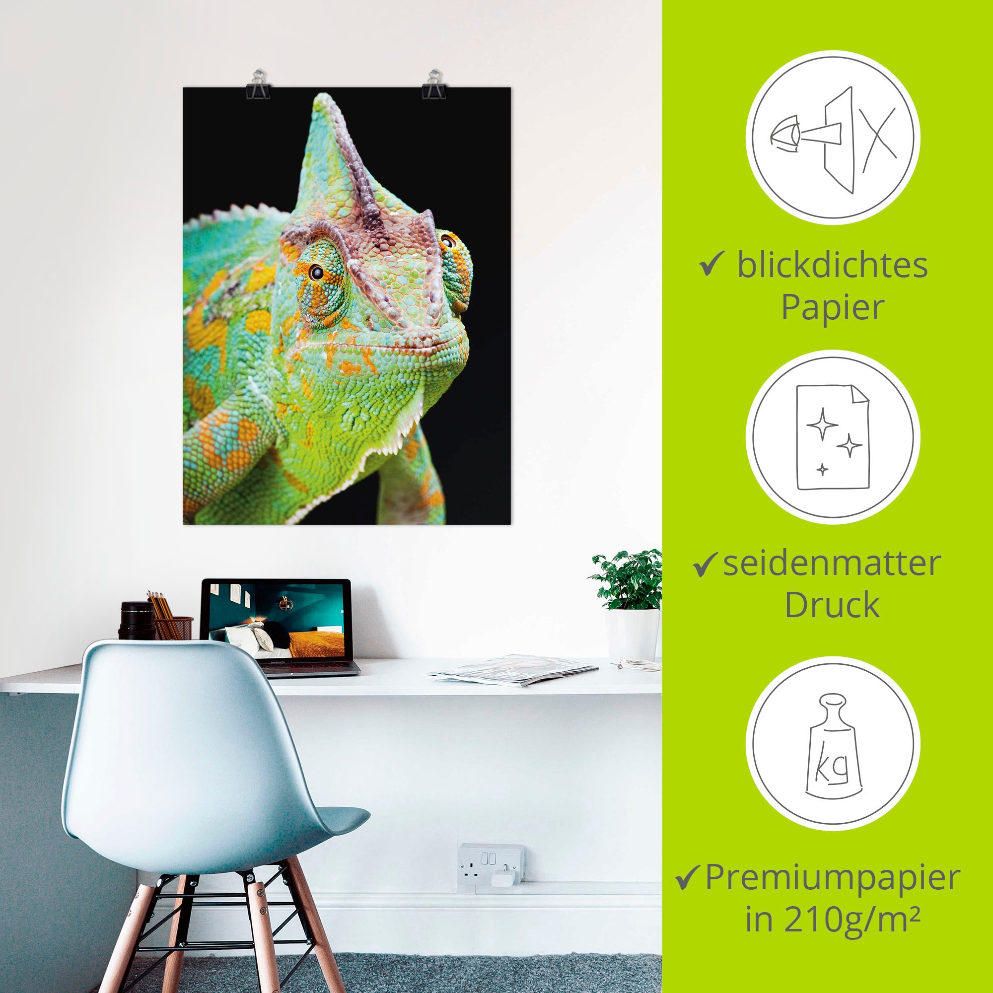 Artland Wandbild »Yemen Chamäleon«, Reptilien, (1 St.), als Alubild, Outdoorbild, Poster, Wandaufkleber in verschied. Größen