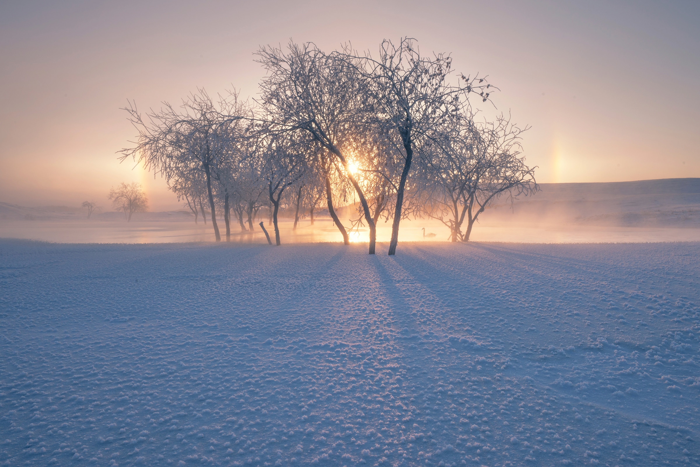 Fototapete »Photo-Art BINGO Z, SCHNEELANDSCHAFT IM WINTER«