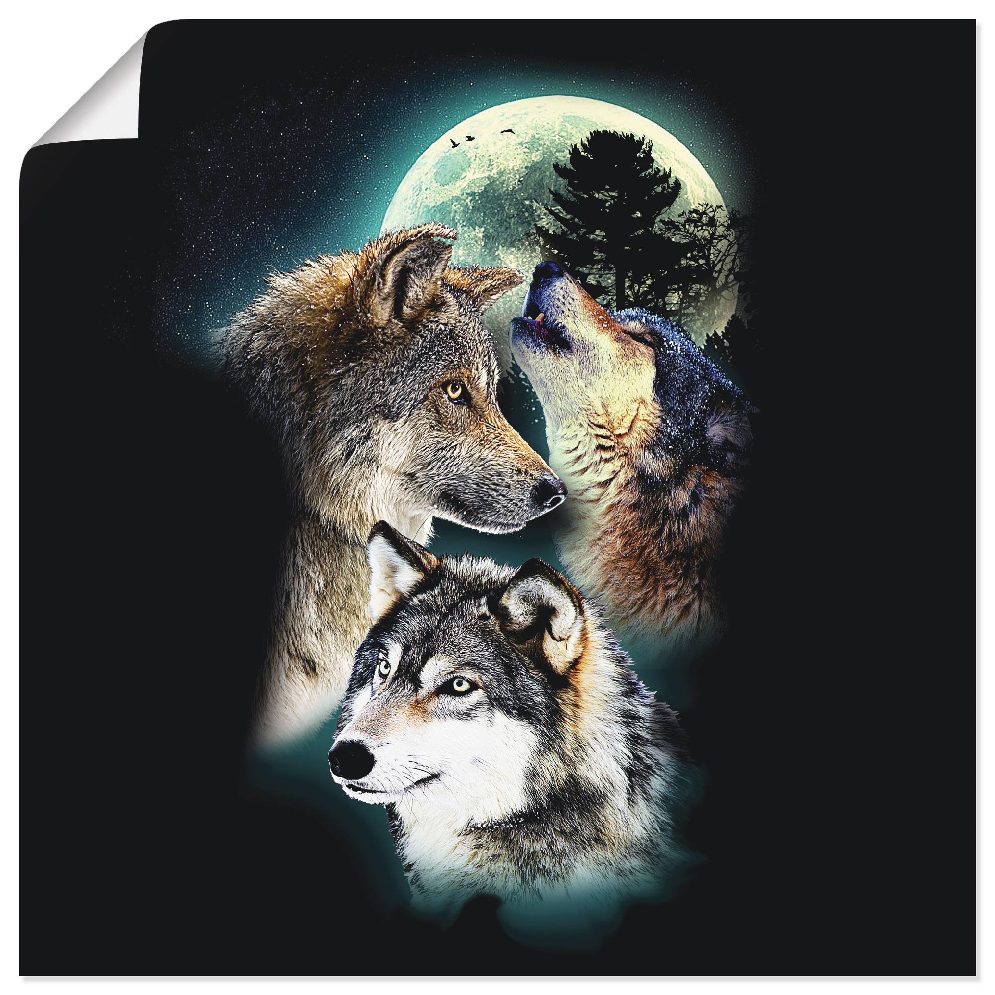 Wölfe mit Artland auf in Leinwandbild, Wolf versch. Poster oder St.), (1 Wandaufkleber als »Phantasie Wandbild Raten bestellen Größen Mond«, Alubild, Wildtiere,