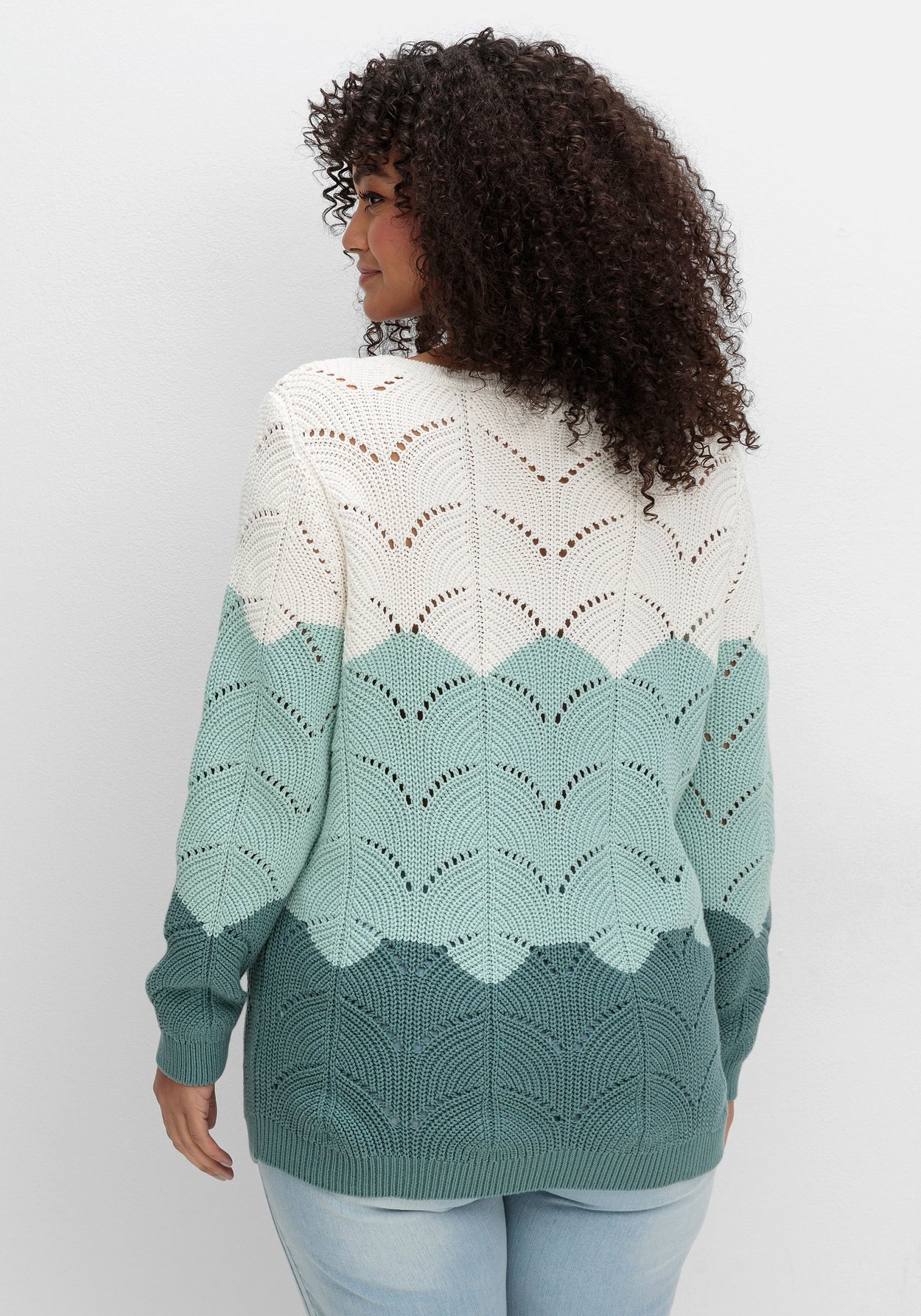 Sheego Rundhalspullover »Pullover im Ajourstrick, mit Colourblocking im Ajourstrick, mit Colourblocking«