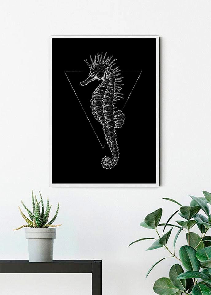 Komar Poster »Sea Horse Black«, XXL Kinderzimmer, Garantie | online kaufen Jahren Tiere, mit (1 3 Schlafzimmer, Wohnzimmer St.)