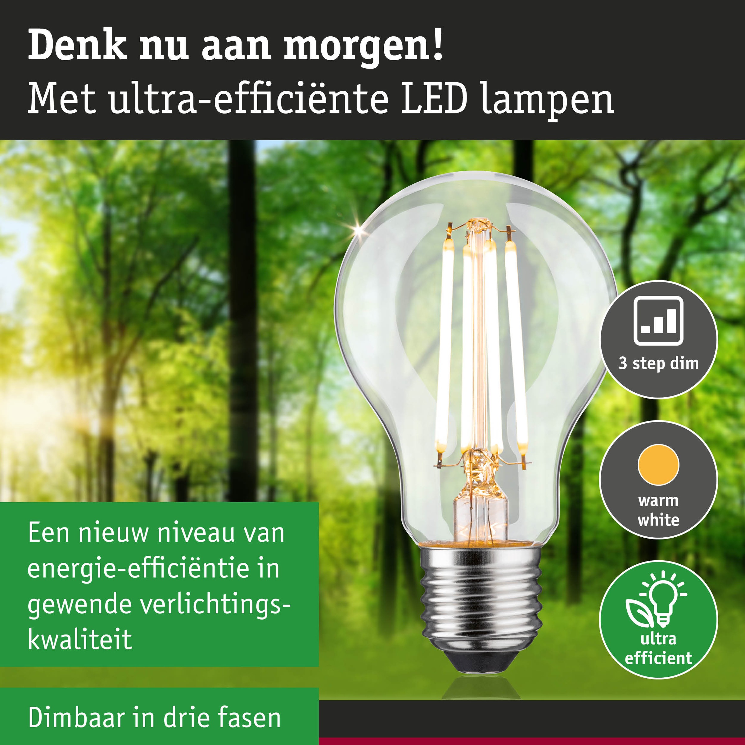 Paulmann LED-Leuchtmittel »Eco-Line Filament 230V LED Birne E27 1521lm 8,2W 3000K dimmbar Klar« E27 1 Stk. Warmweiß