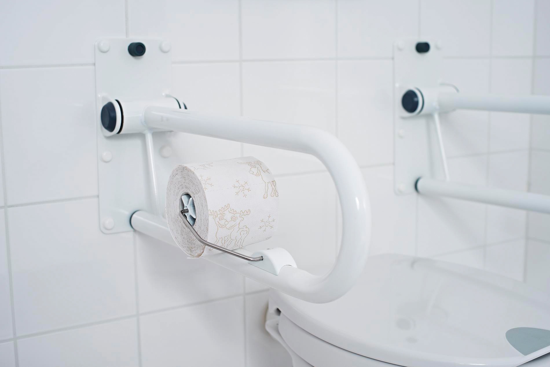 UV-beständig | kaufen mit Haltegriffe, für Jahren XXL Toilettenpapierhalter, Ridder online Garantie 3