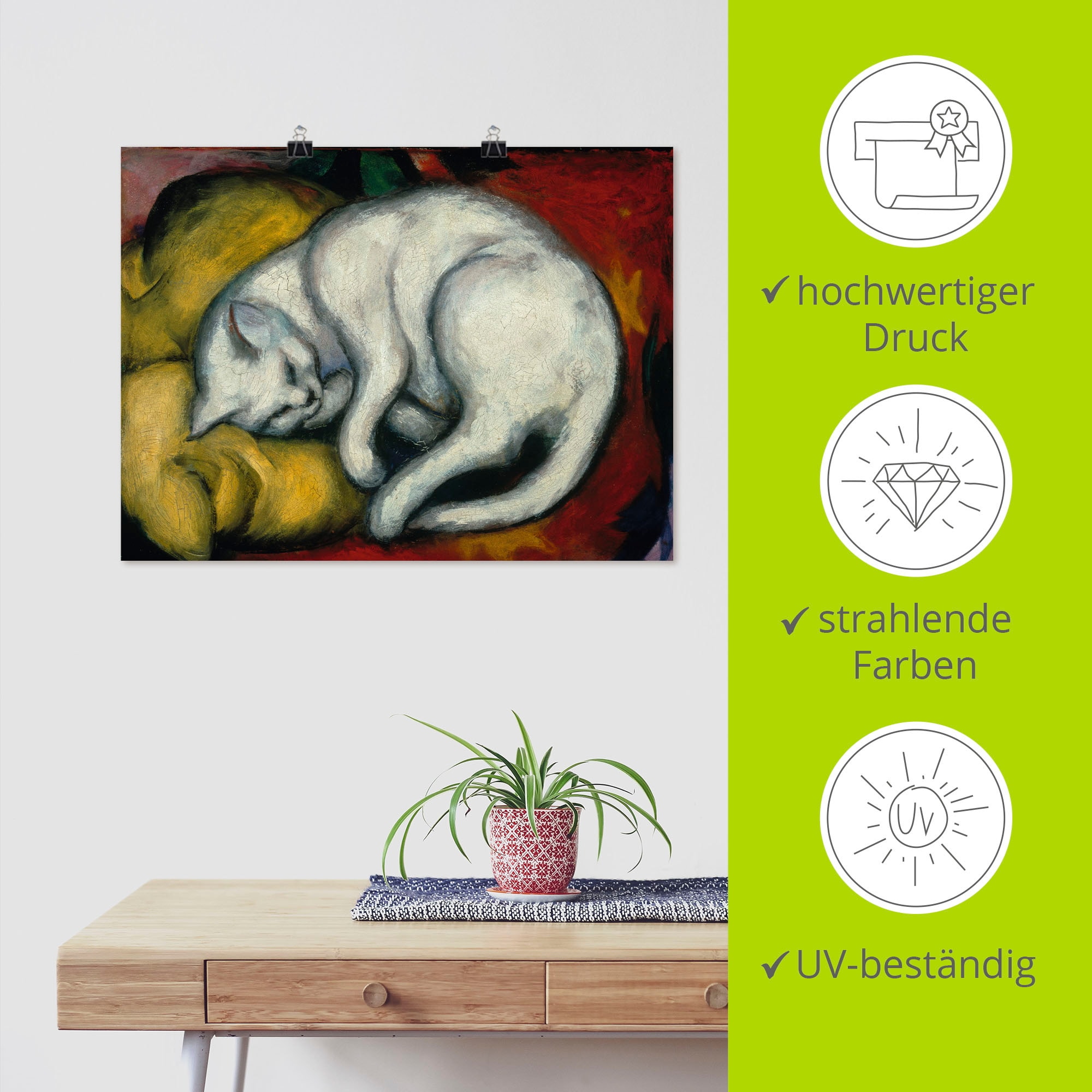 Artland Wandbild »Die weisse Katze. 1912« Haustiere 1 Stk. tlg. als Leinwandbild, Poster in verschied. Größen