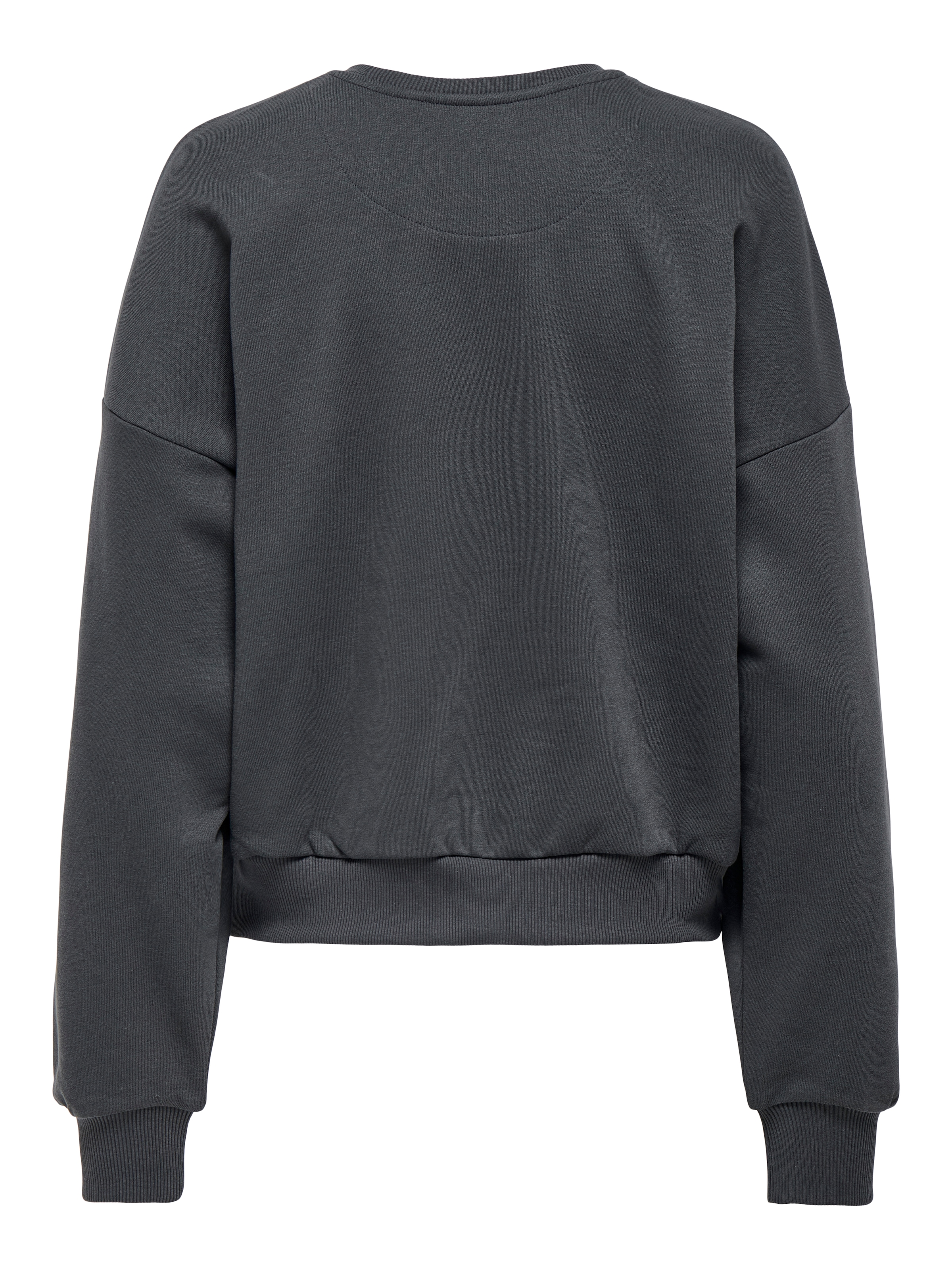 ONLY Sweatshirt »ONLTAMMIE L/S LEO PRINT O-NECK SWT«