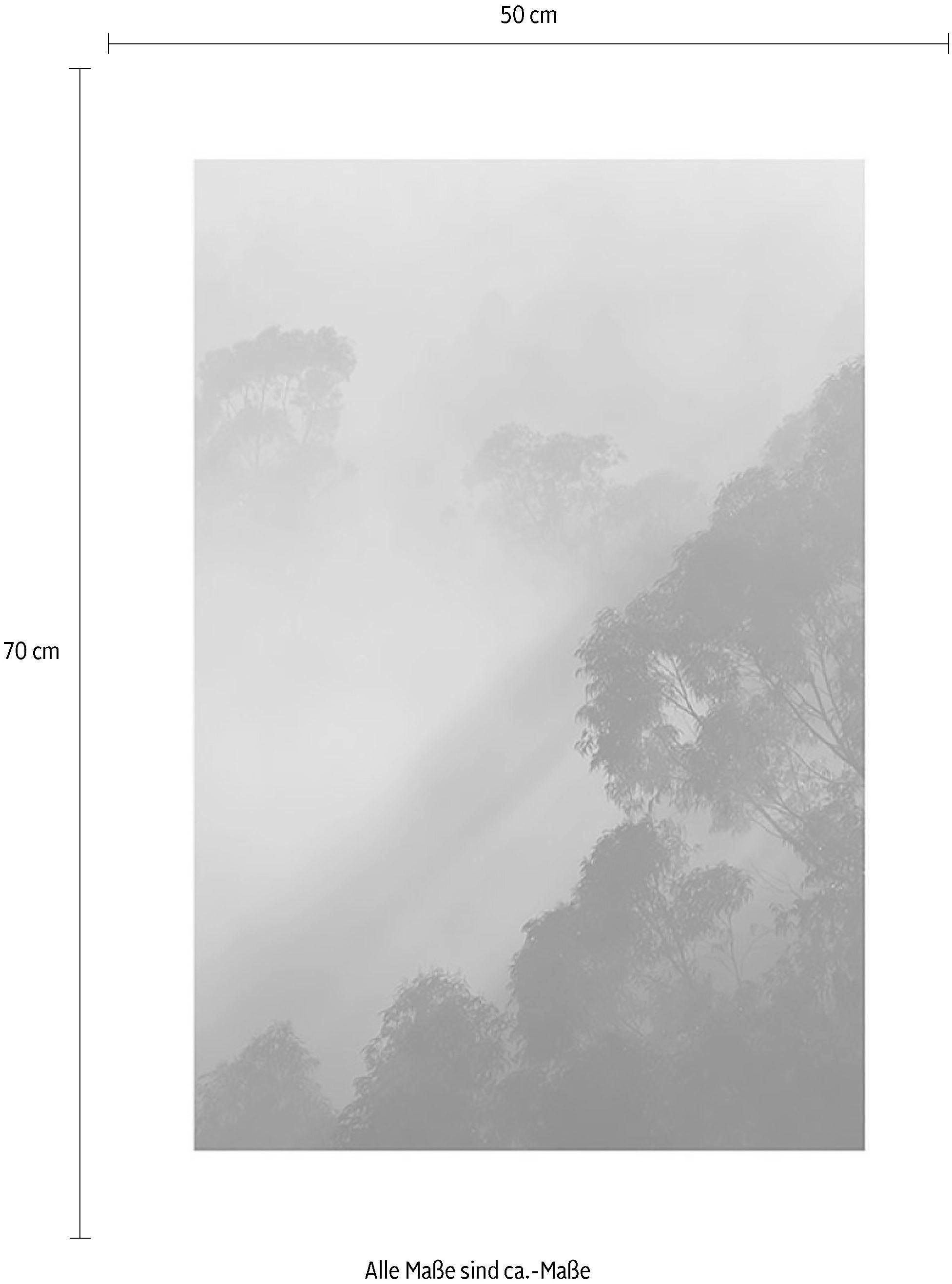Komar Bild »Golden Light« Natur 1 Stk. tlg. Wandbild zur Dekoration - ohne Rahmen