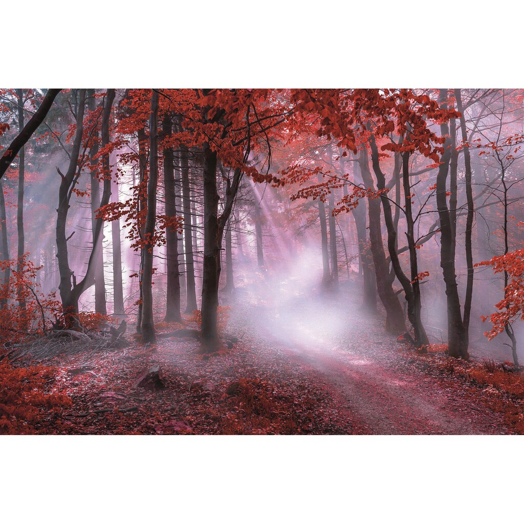 Bönninghoff Leinwandbild »Herbstwald im Nebel«, (1 St.)