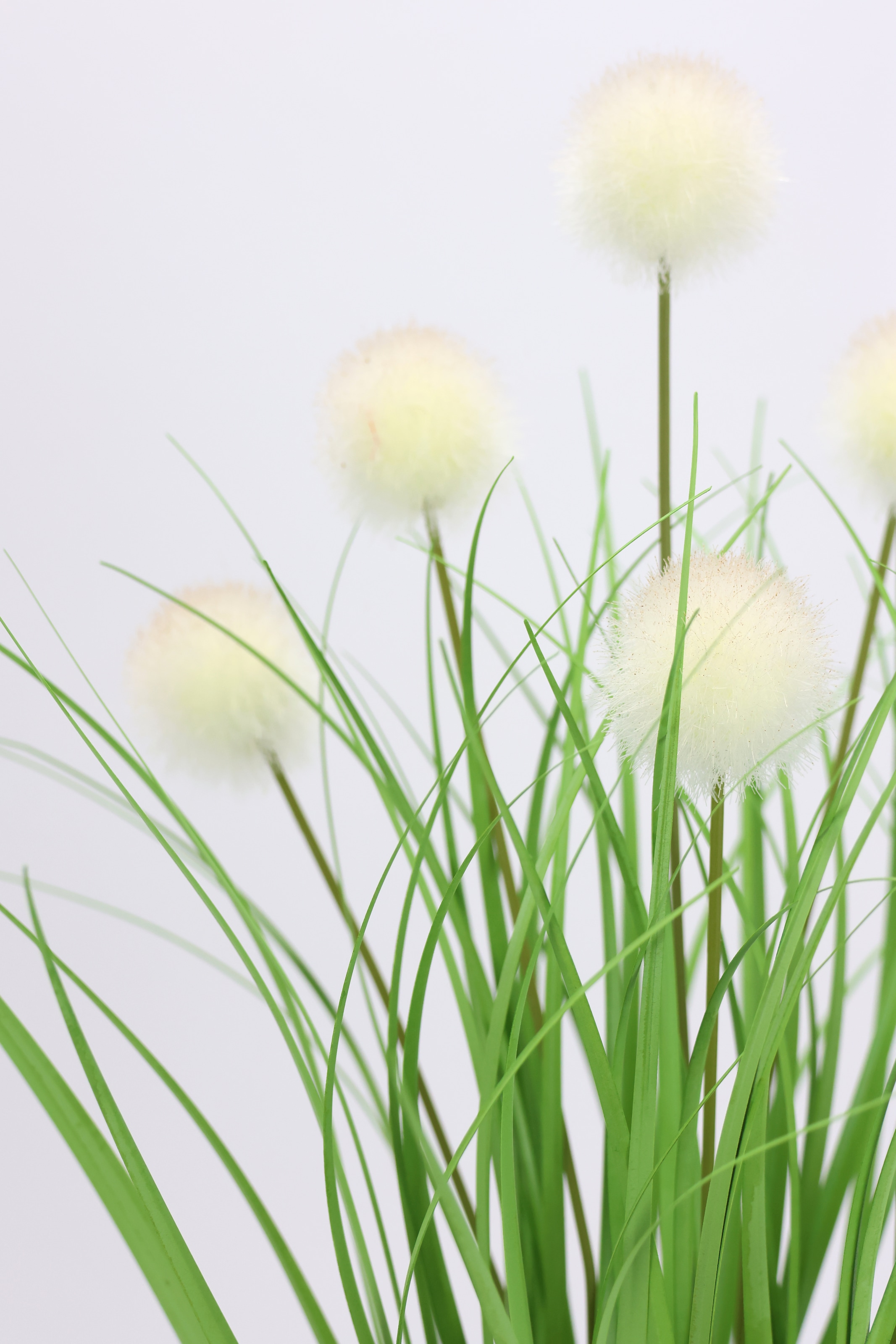 I.GE.A. Kunstpflanze »Knopfgras im Topf«