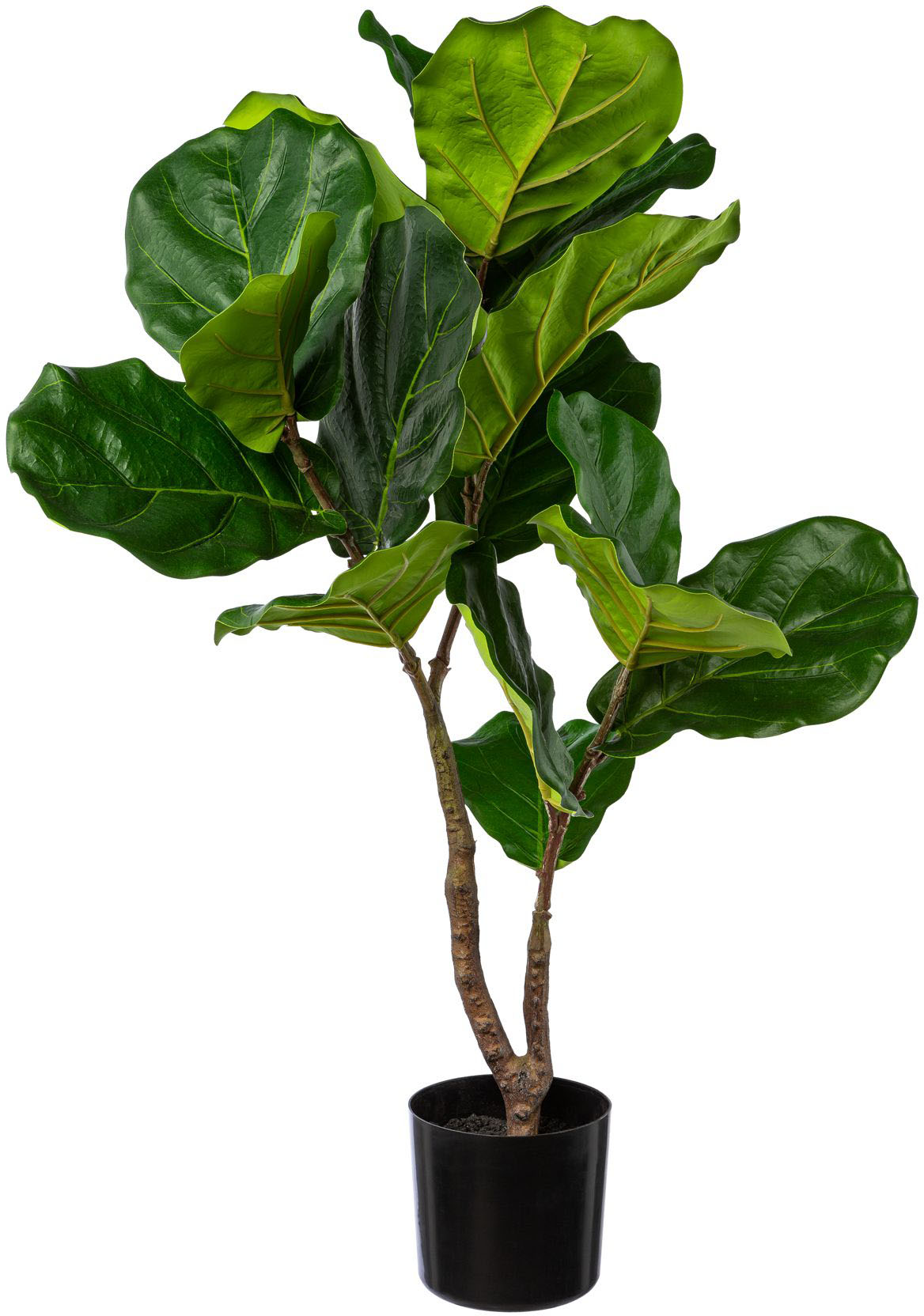 Kunstbaum »Colocasia«, im Topf